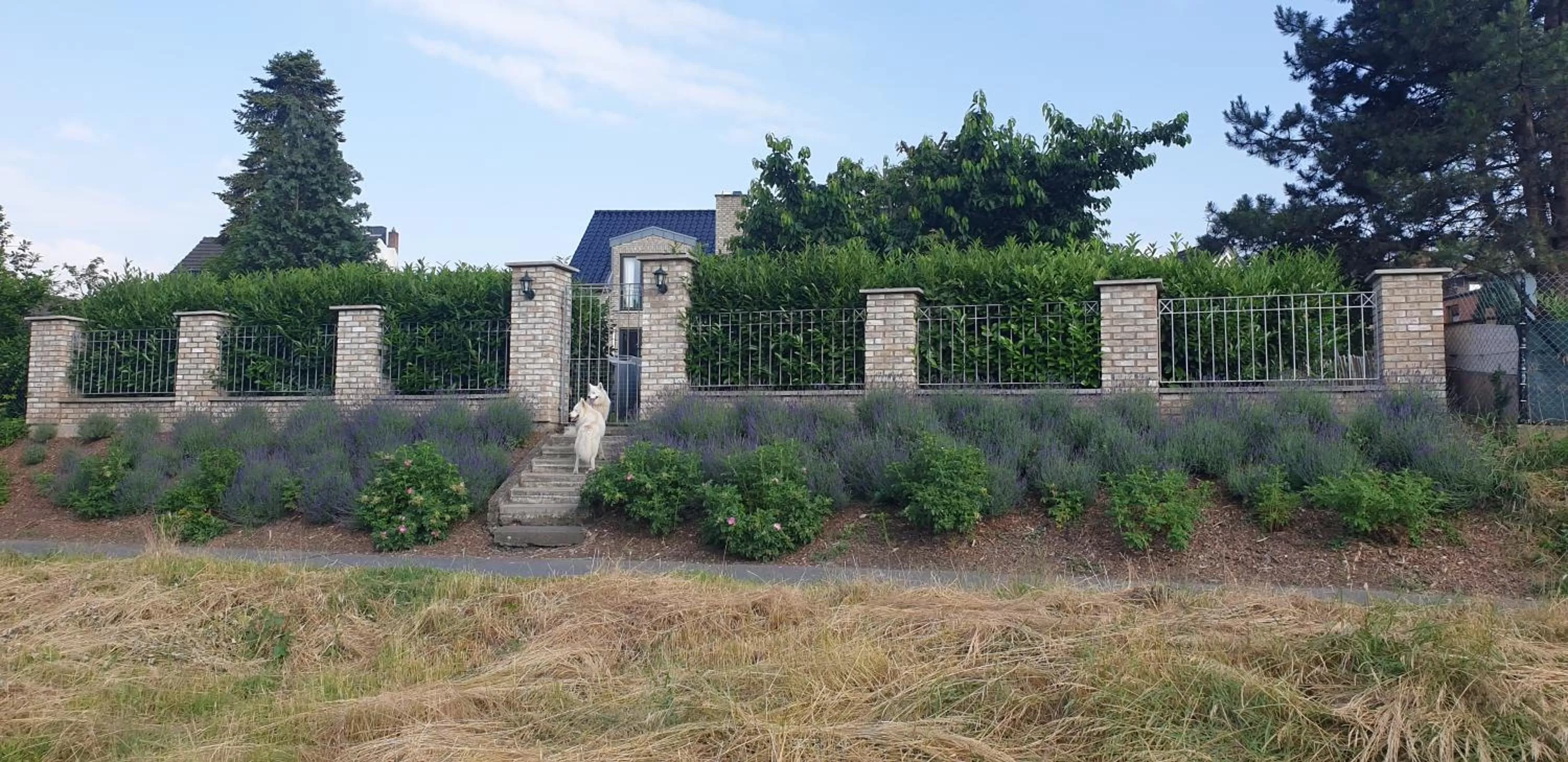 Schönste Lage am Rhein in unmittelbarer Stadtnähe, B & B