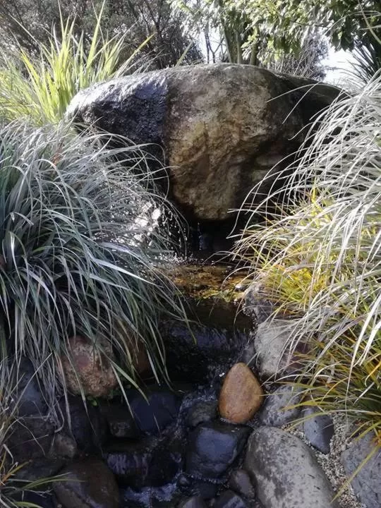Garden in Conach House
