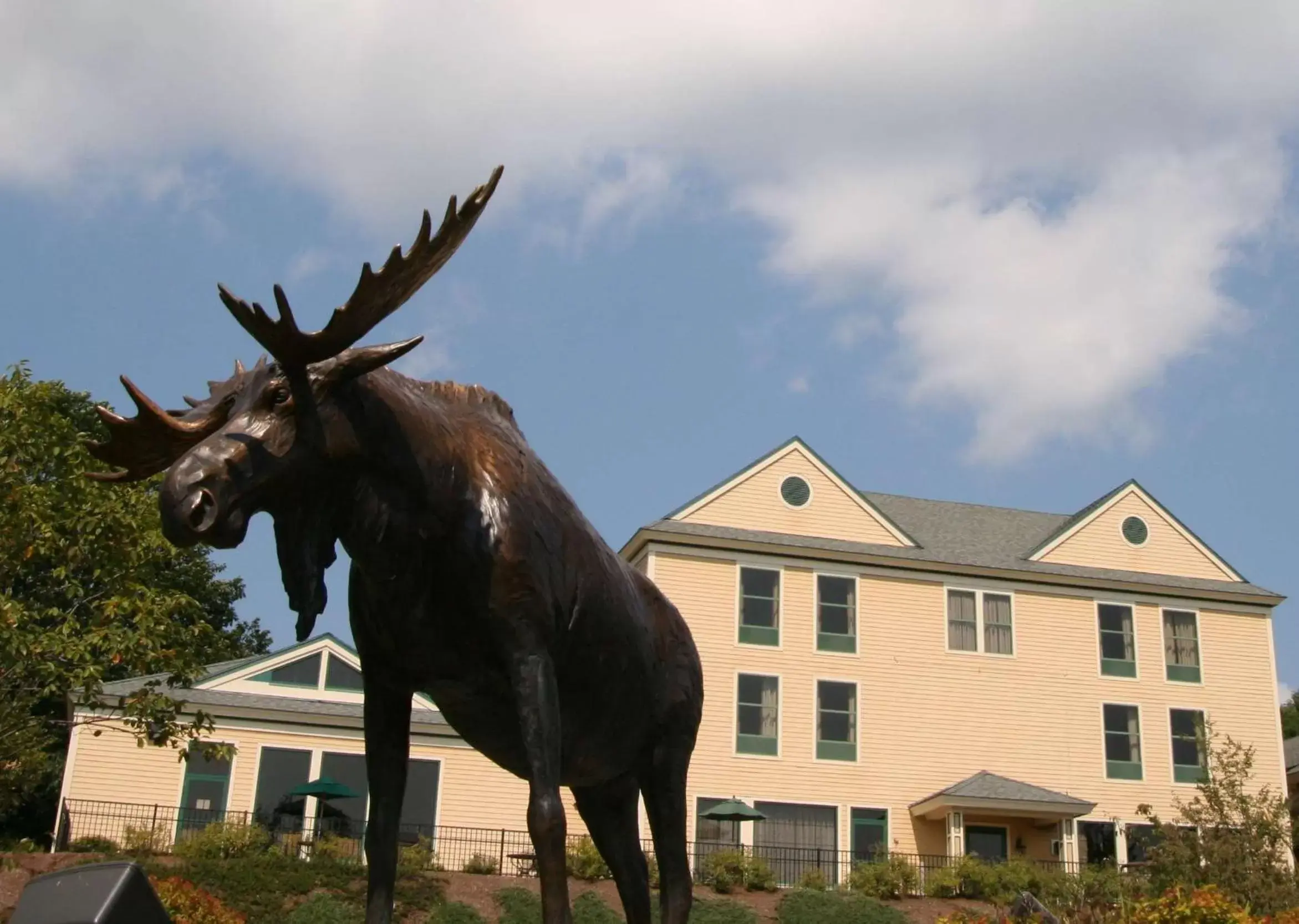 Property building, Other Animals in Hampton Inn Freeport/Brunswick