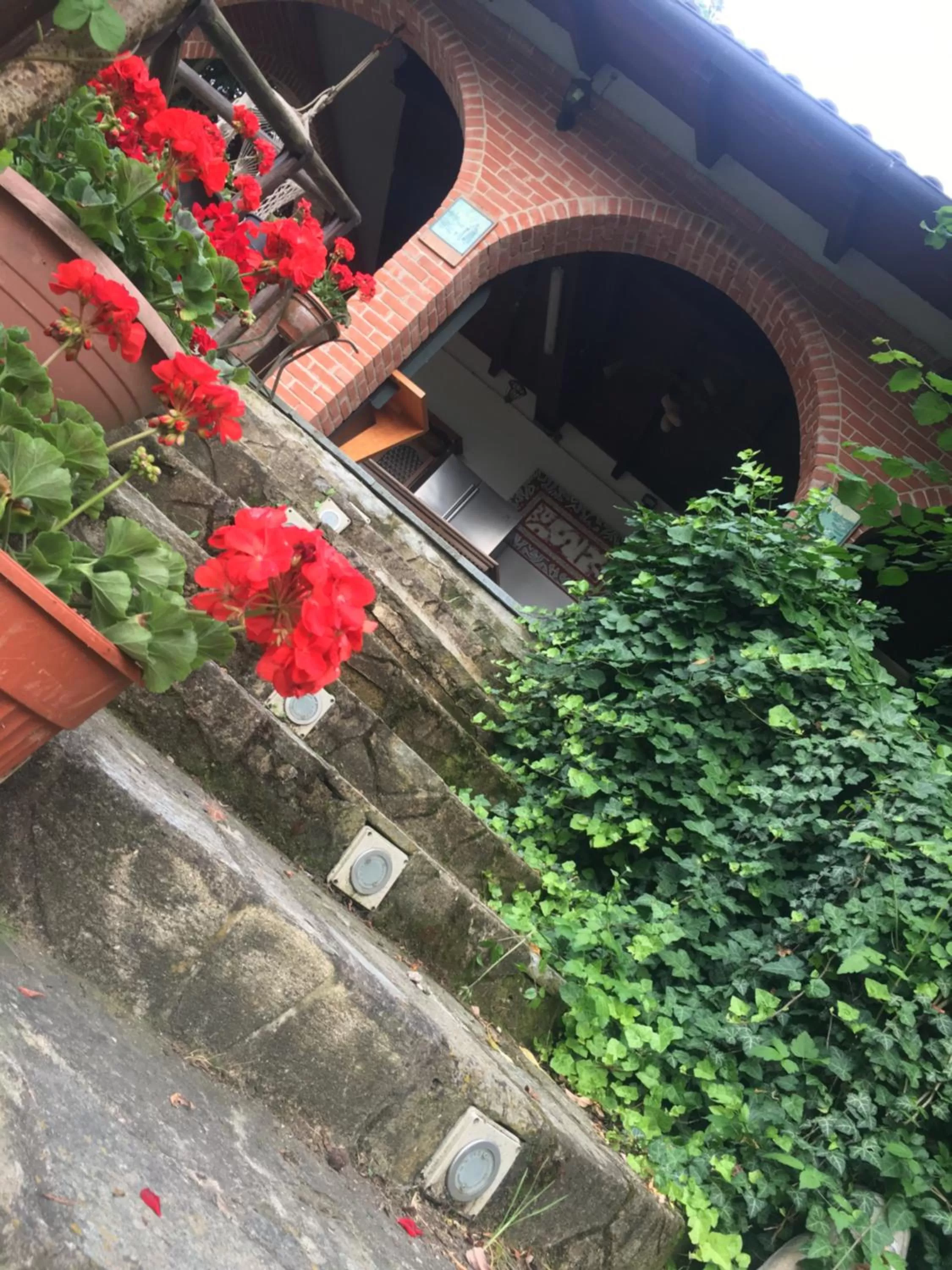 Rossella alla Villarella dei Tulipani