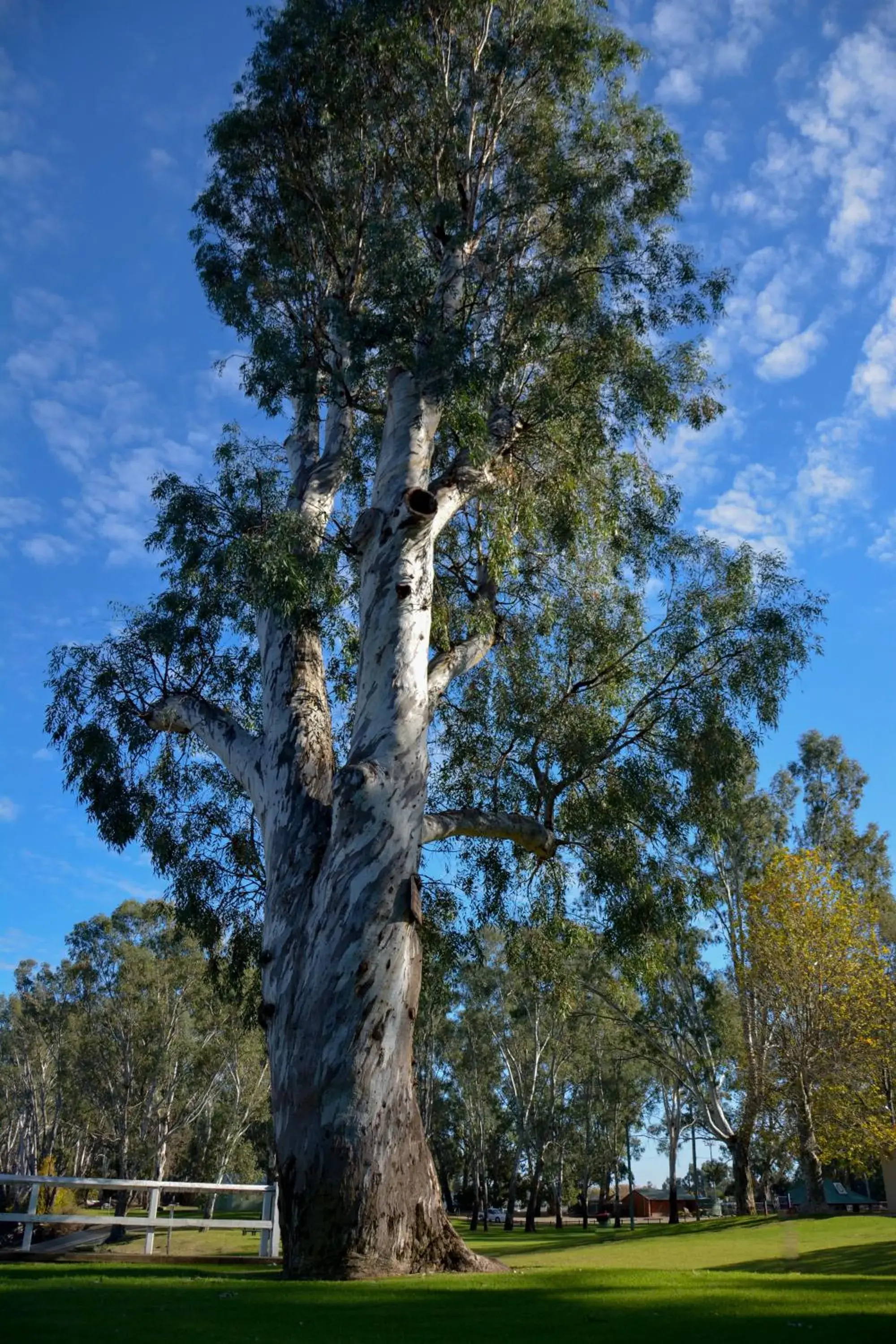 Natural landscape in Motel Meneres