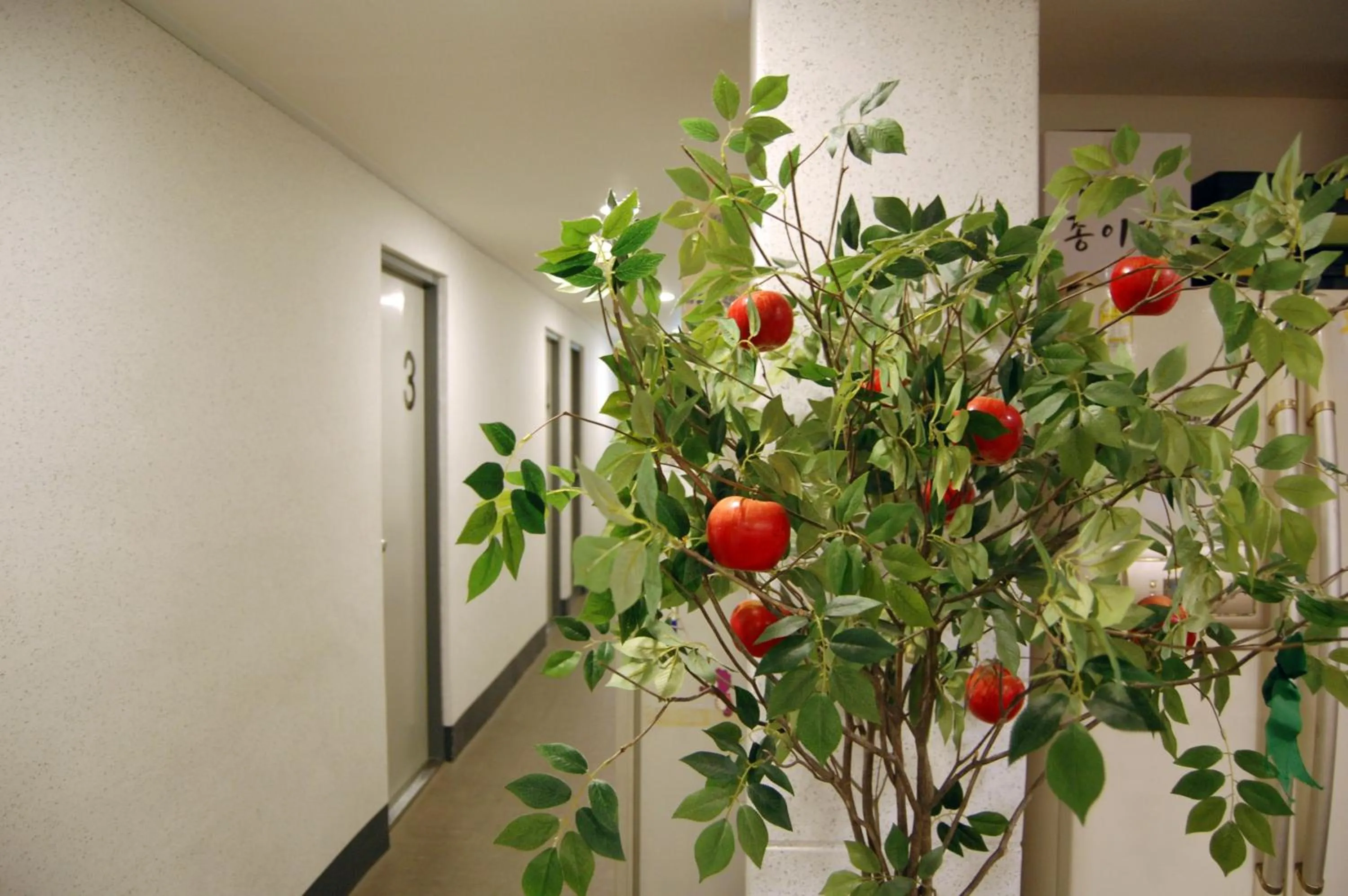 Communal lounge/ TV room in Dongseongro ZERO guesthouse