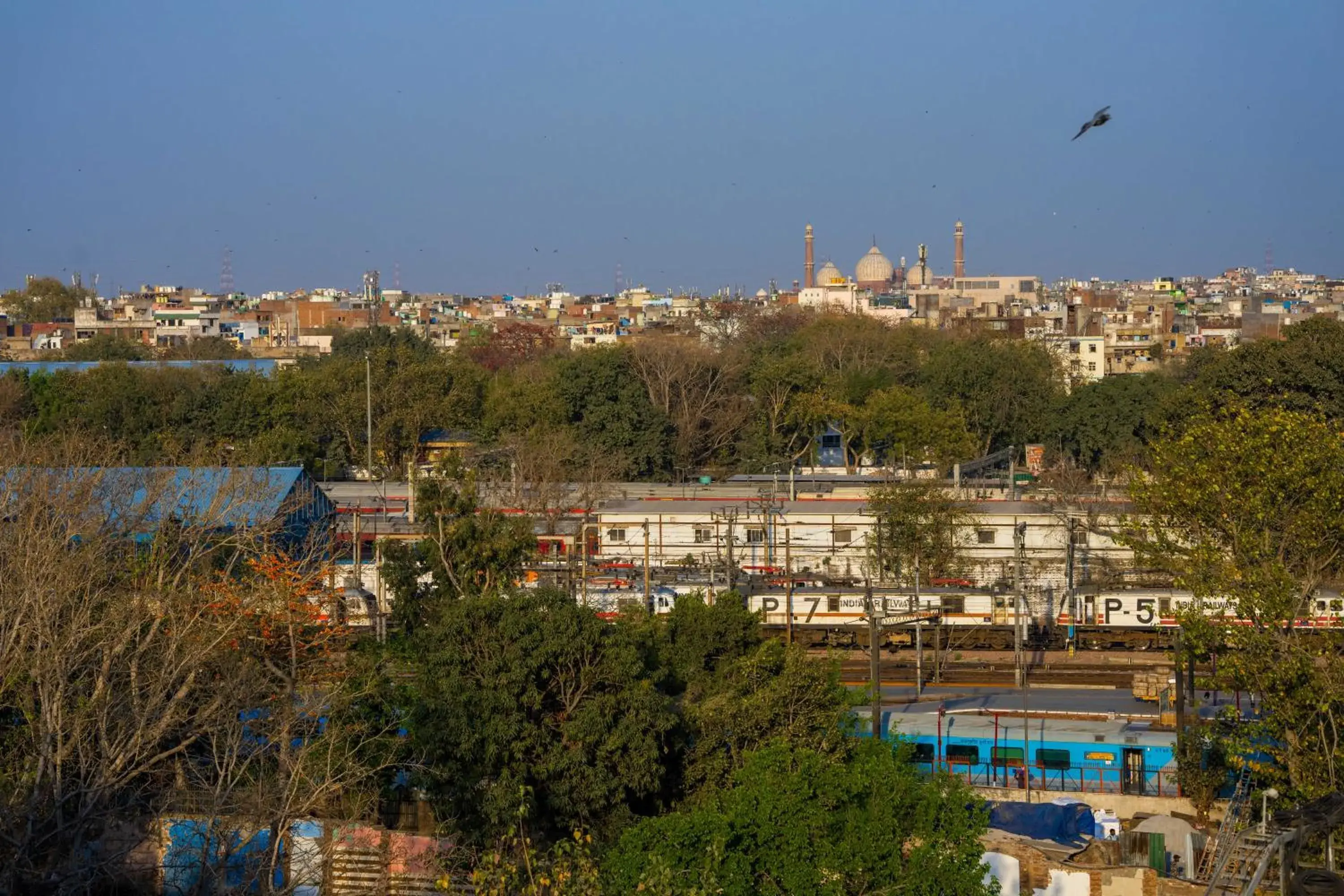 City view, Pool View in Zostel Delhi Hostel