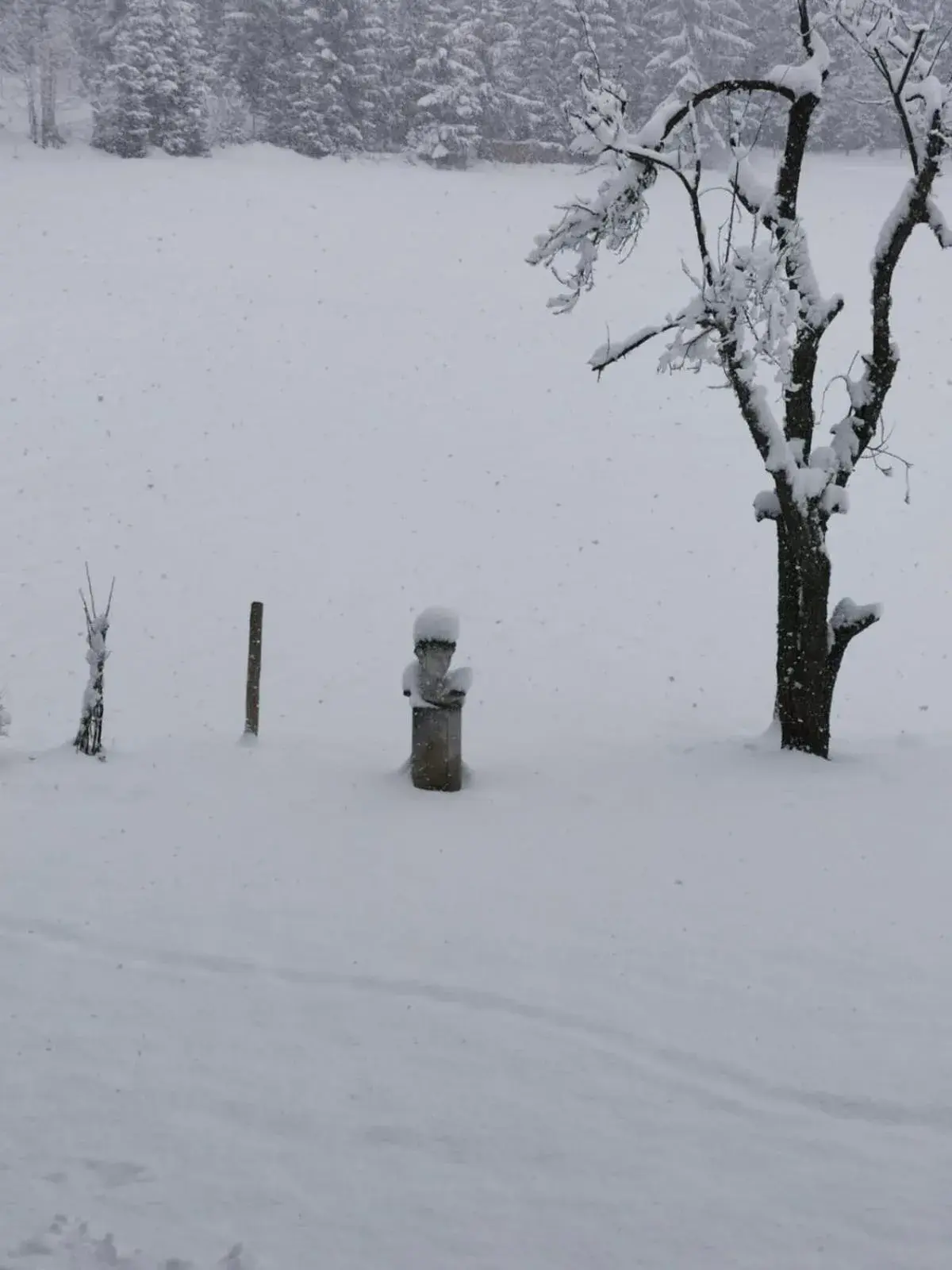 Winter in Alpenhof