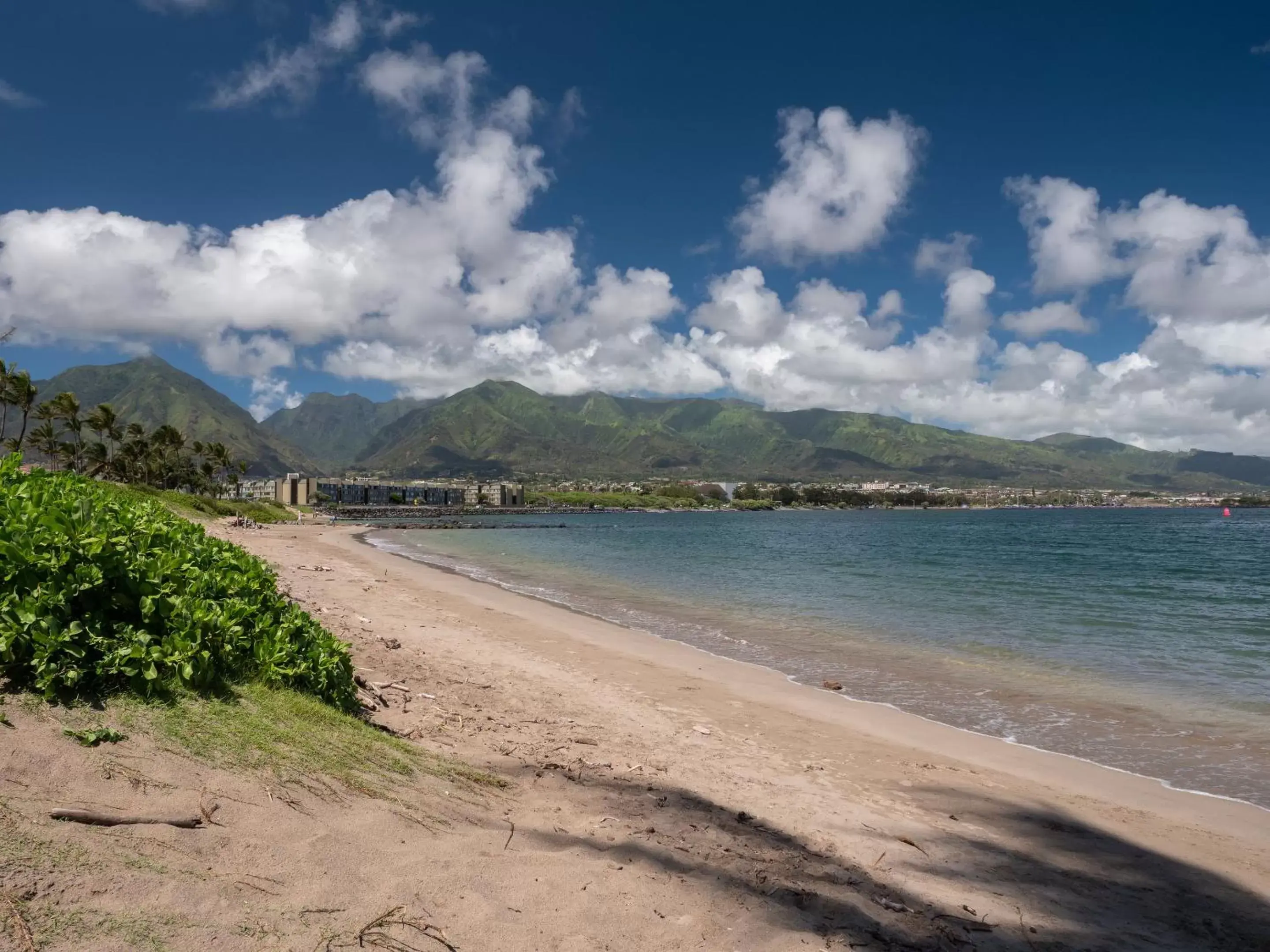 Natural landscape in Maui Seaside Hotel