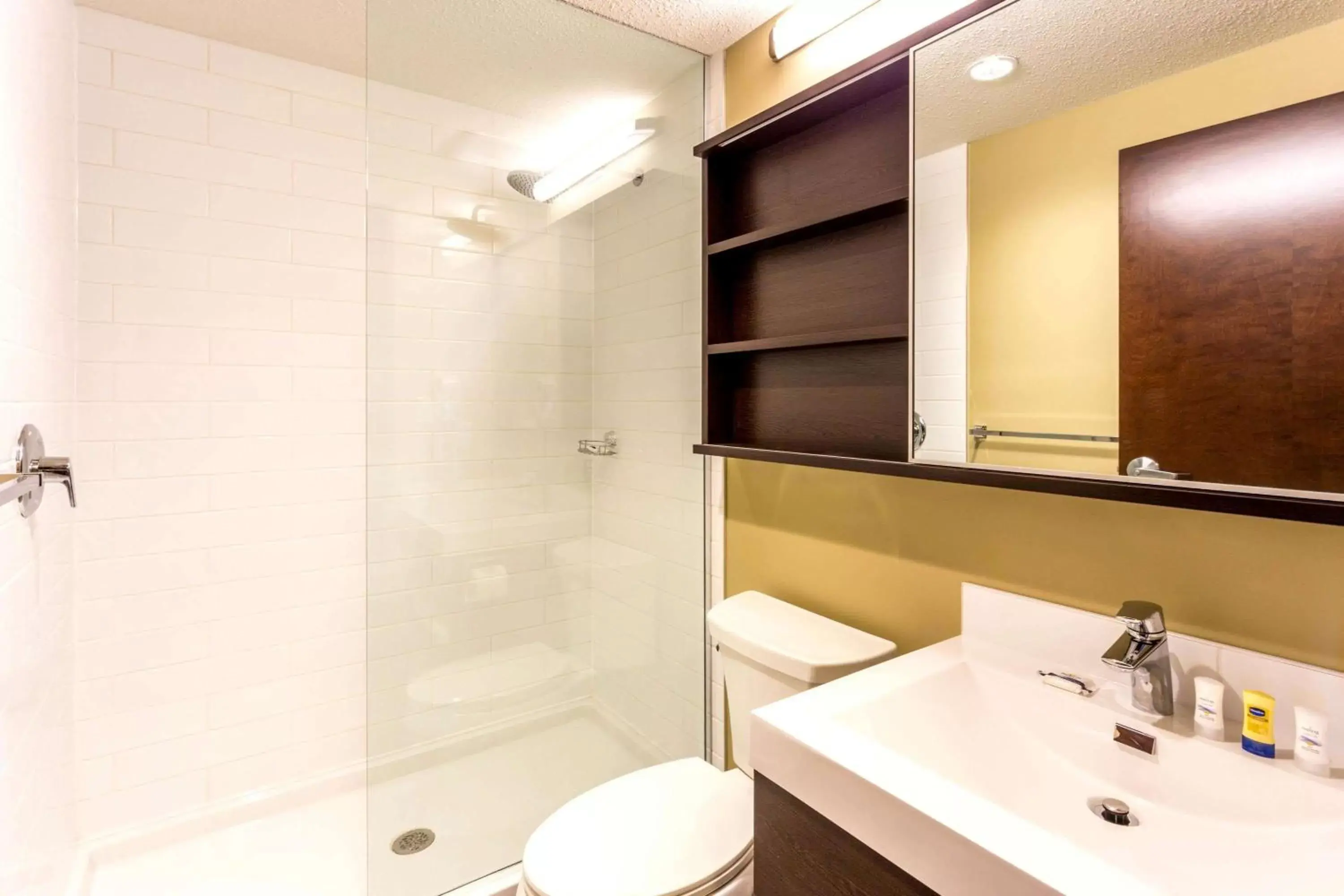 Bathroom in Microtel Inn & Suites by Wyndham Whitecourt