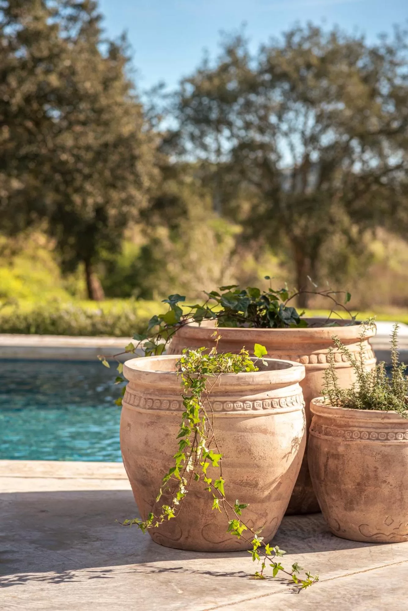 Spring in L'AND Vineyards - Relais & Châteaux