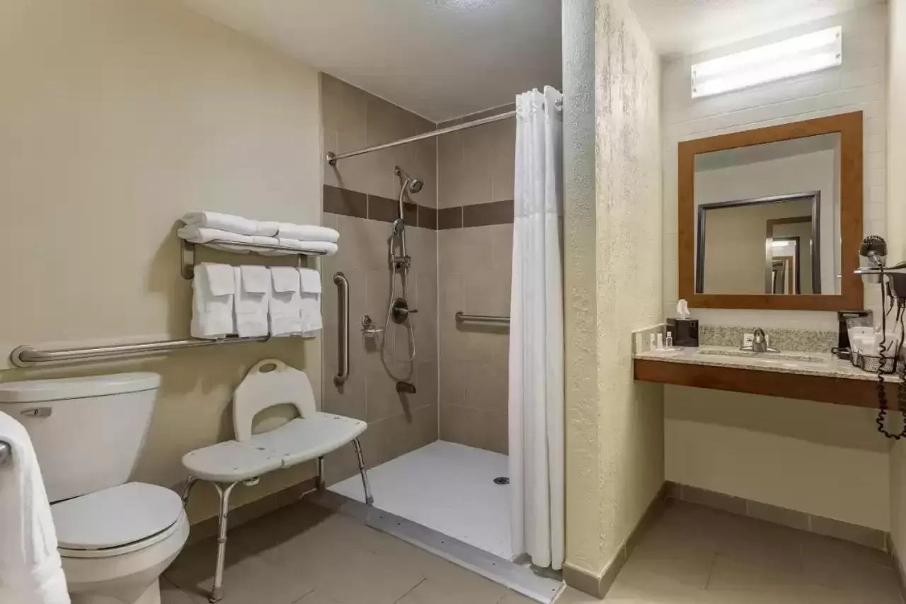 Shower, Bathroom in Comfort Suites Batesville