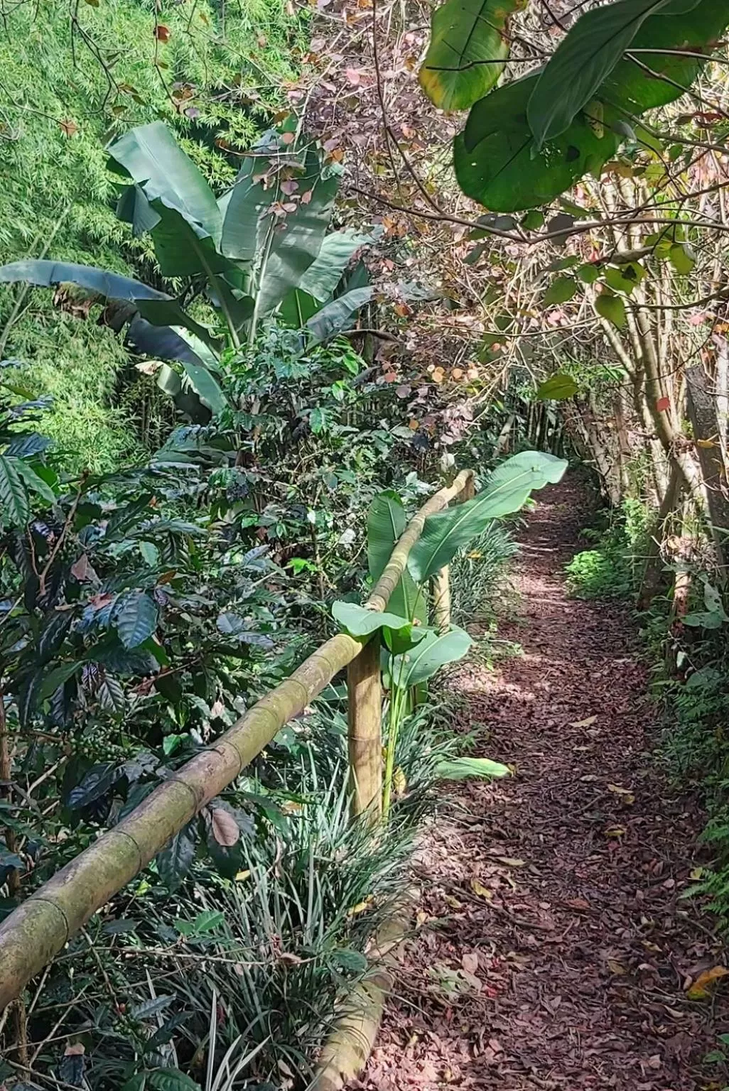 Natural landscape in Balsora Hotel Boutique