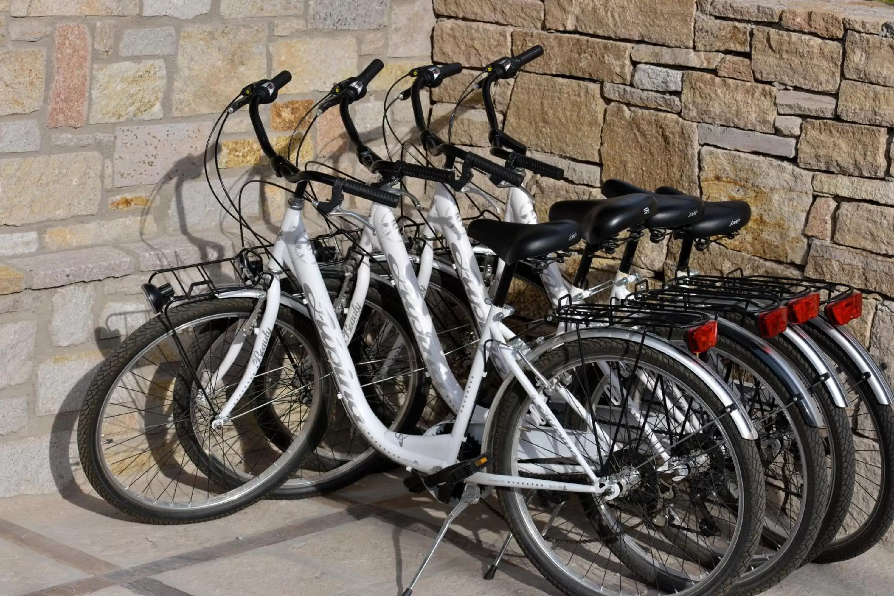 Cycling, Biking in Viñedos San Lucas