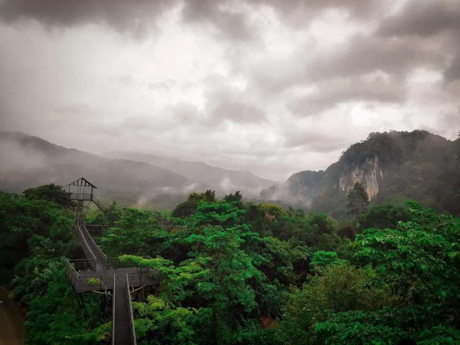 Natural landscape in Khao Sok Tree House Resort