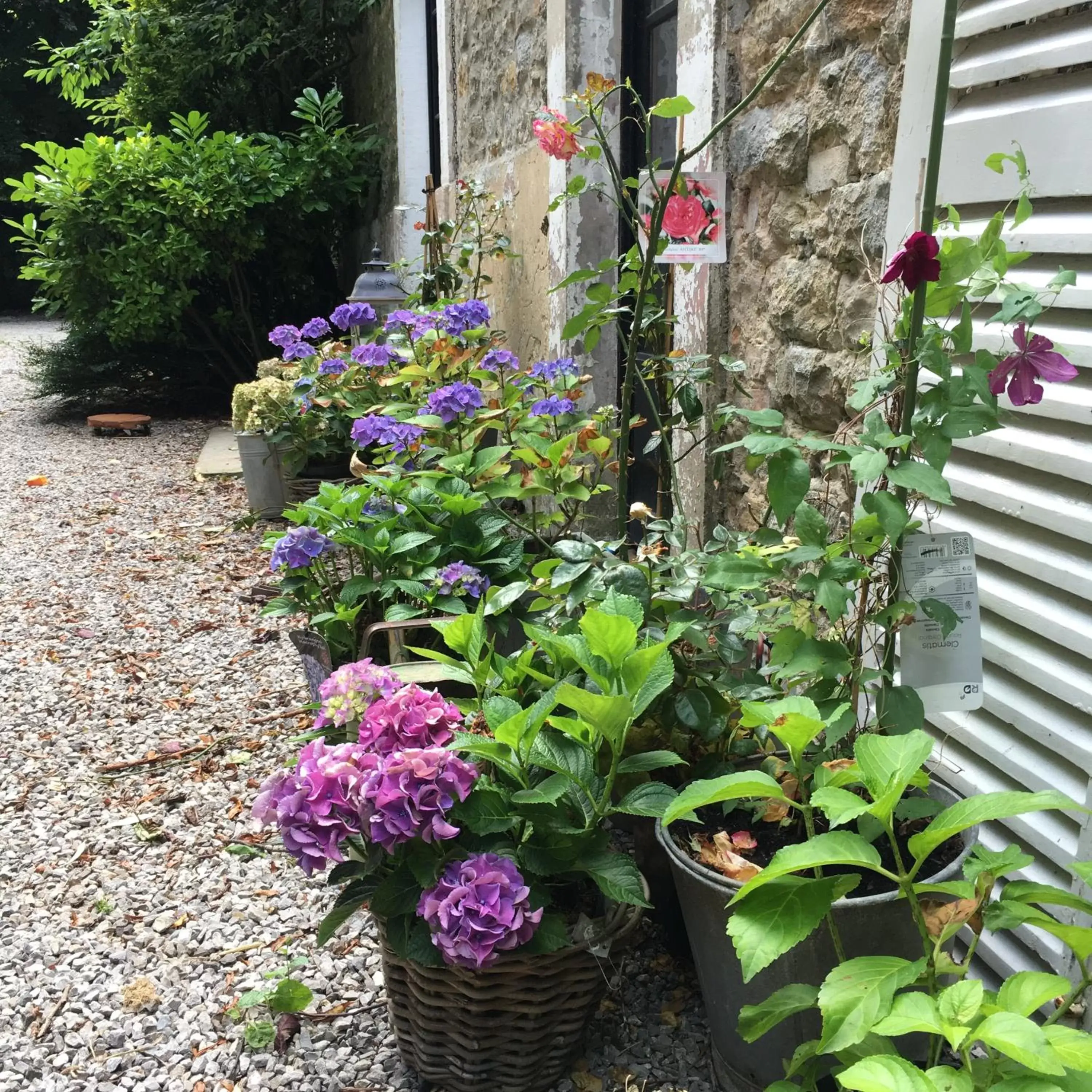 Garden in De la Maison aux Ateliers