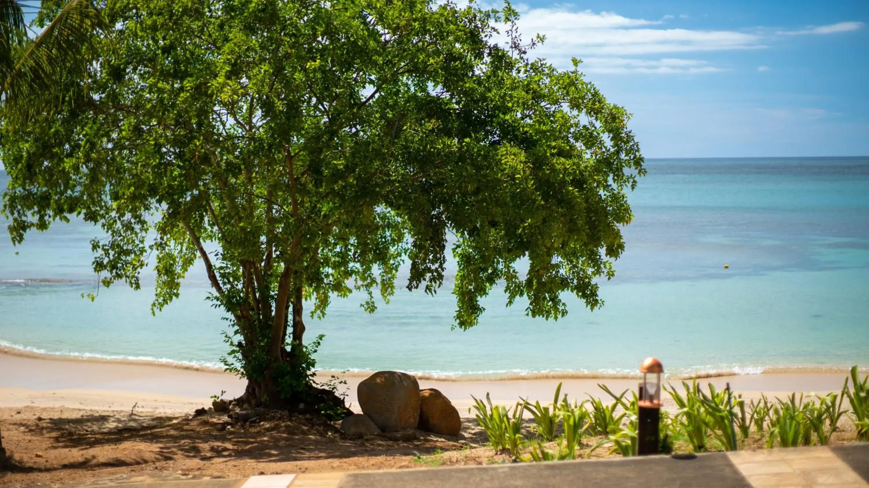 Natural landscape, Beach in Maritim Resort & Spa Mauritius
