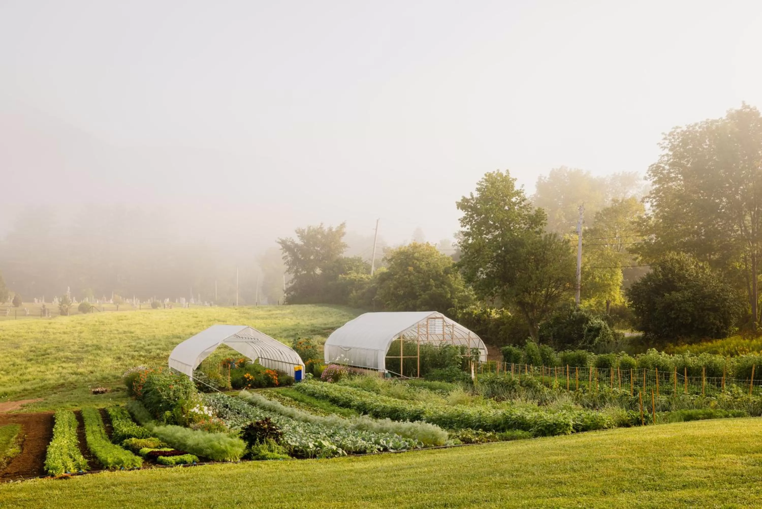 Area and facilities in Hill Farm Inn - Manchester