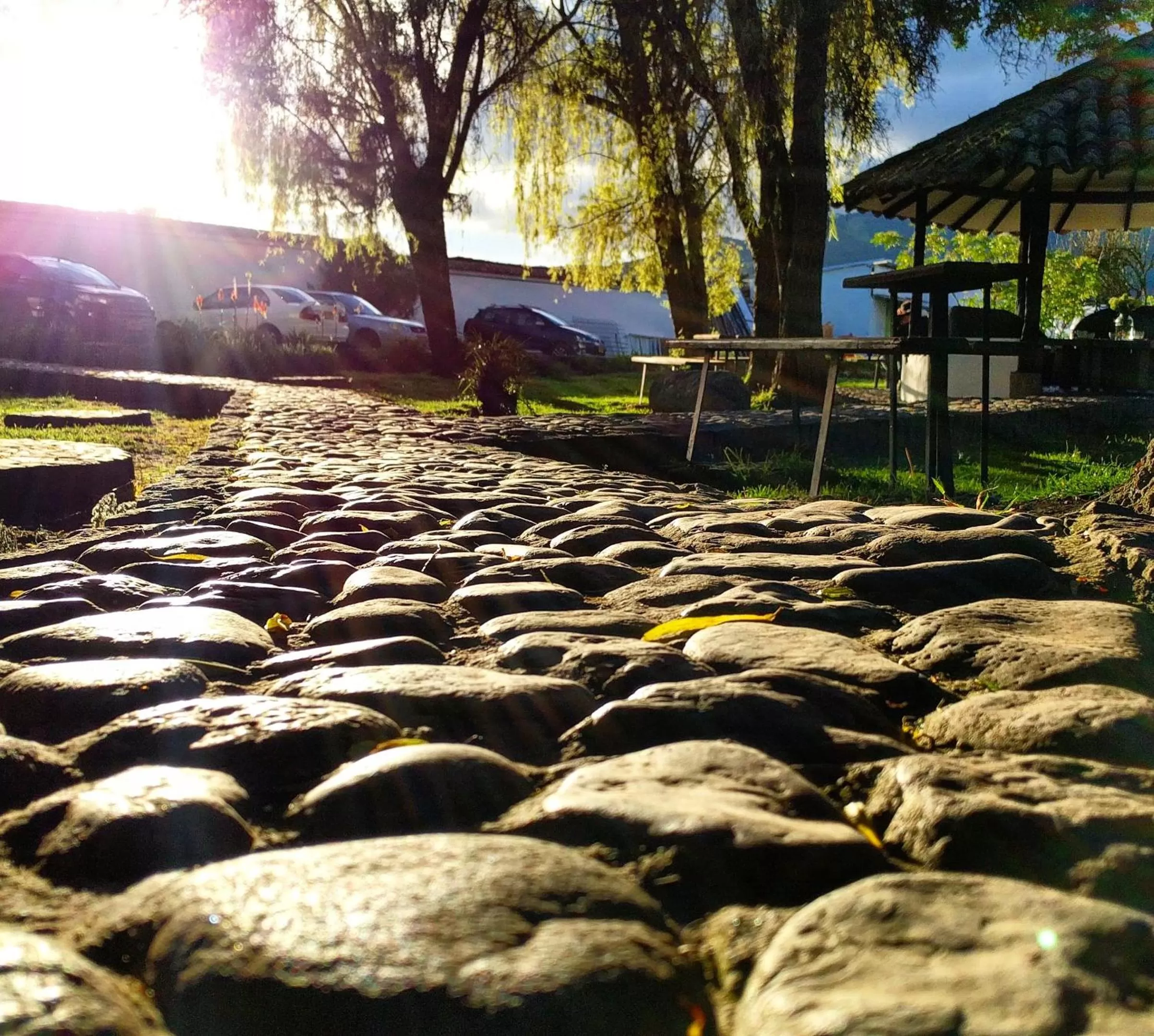 Garden in Posada Cafe La Huerta