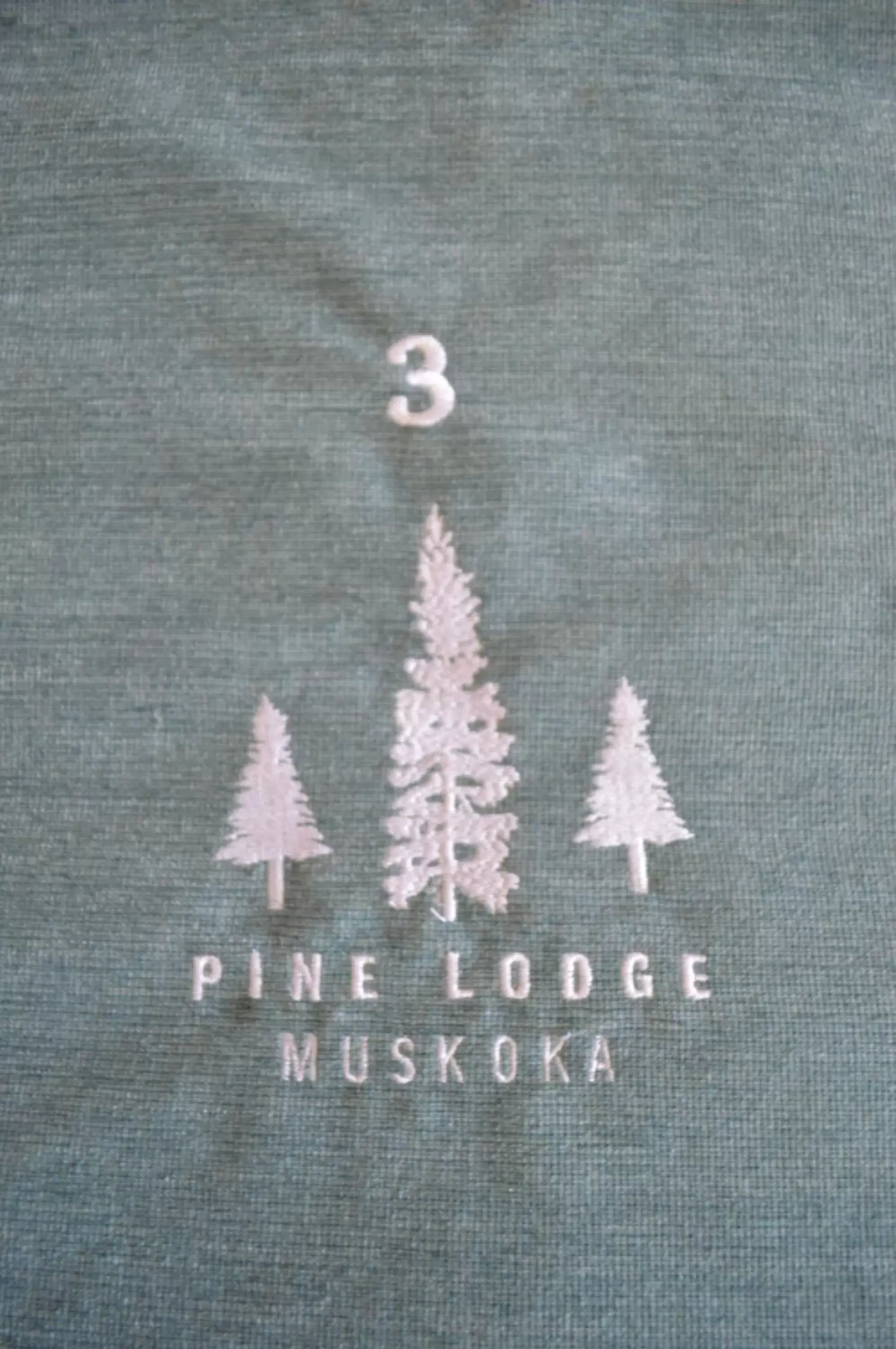 Property logo or sign in 3 Pines Lodge Muskoka