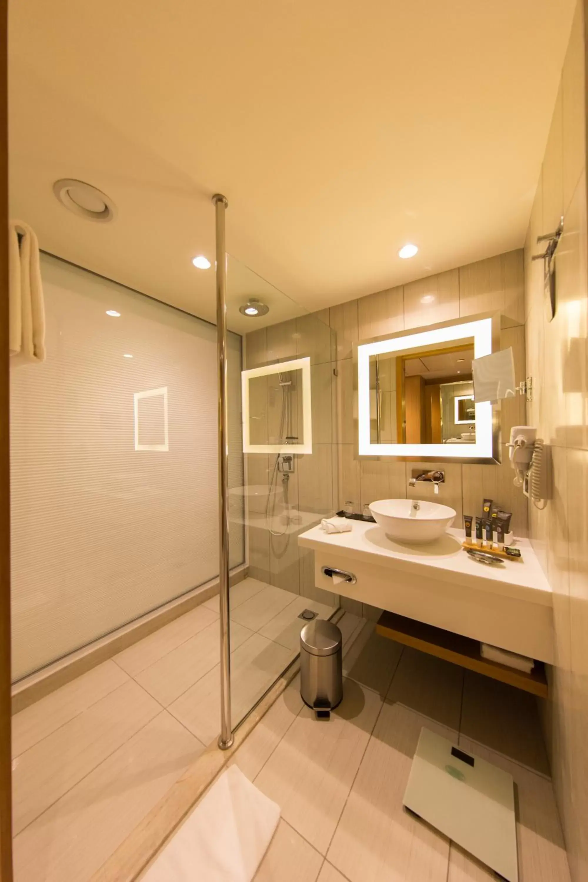 Bathroom in Novotel Chennai OMR