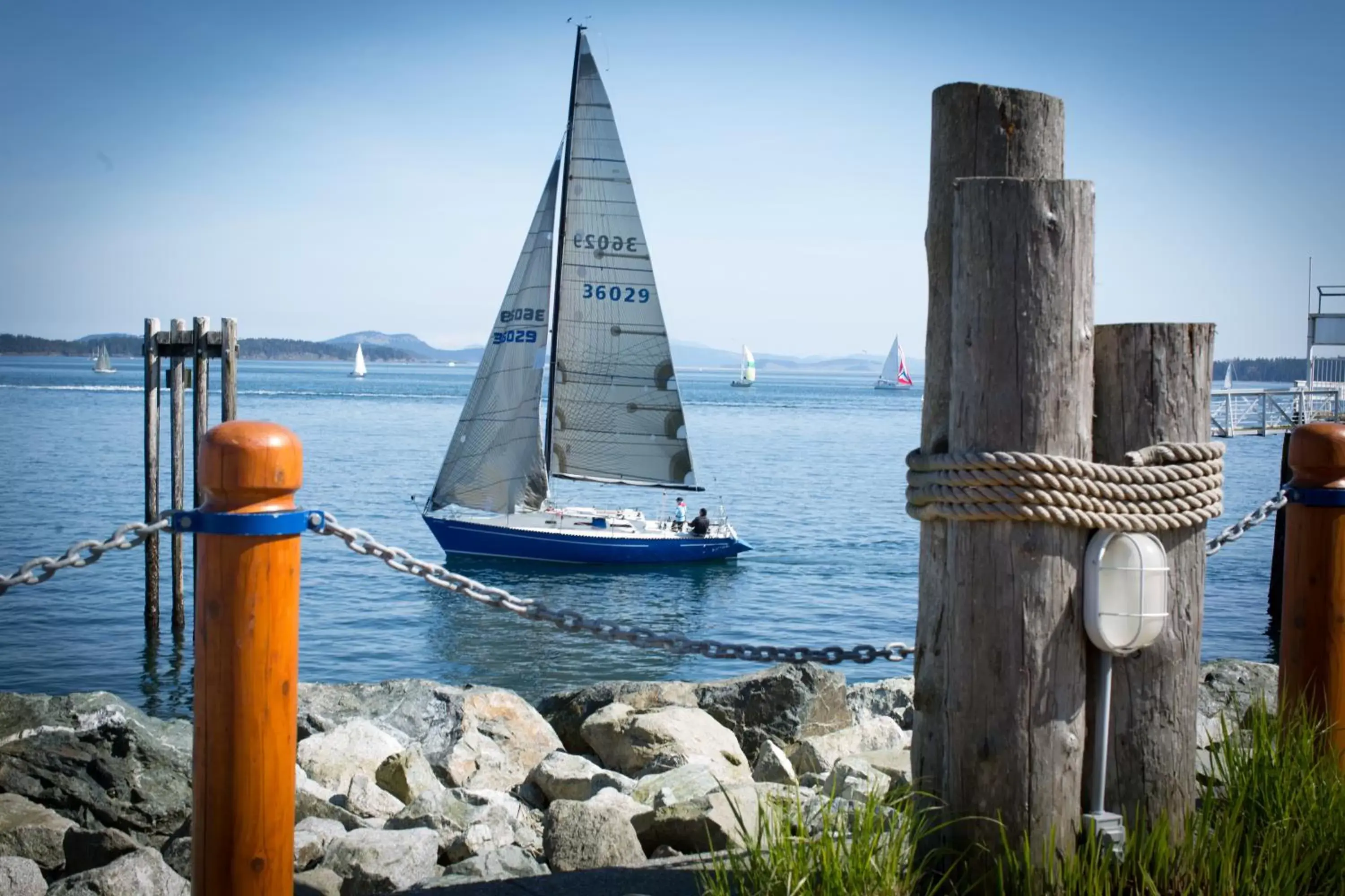 Area and facilities in Sidney Waterfront Inn