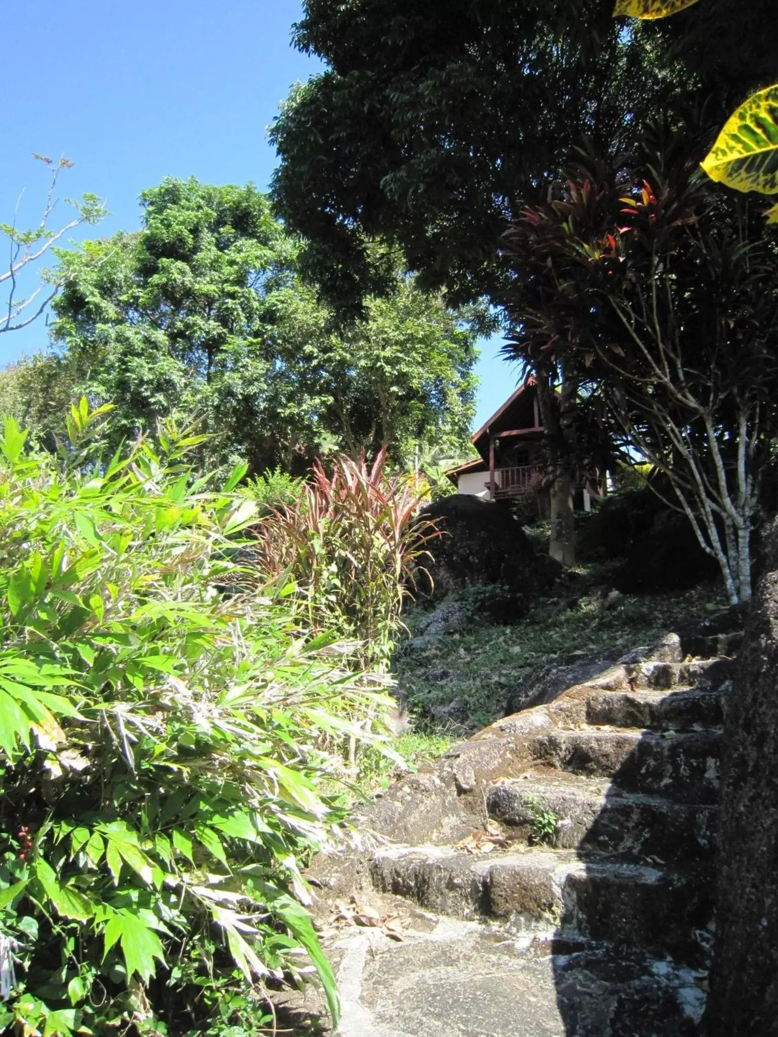 Garden in Phanom Bencha Mountain Resort