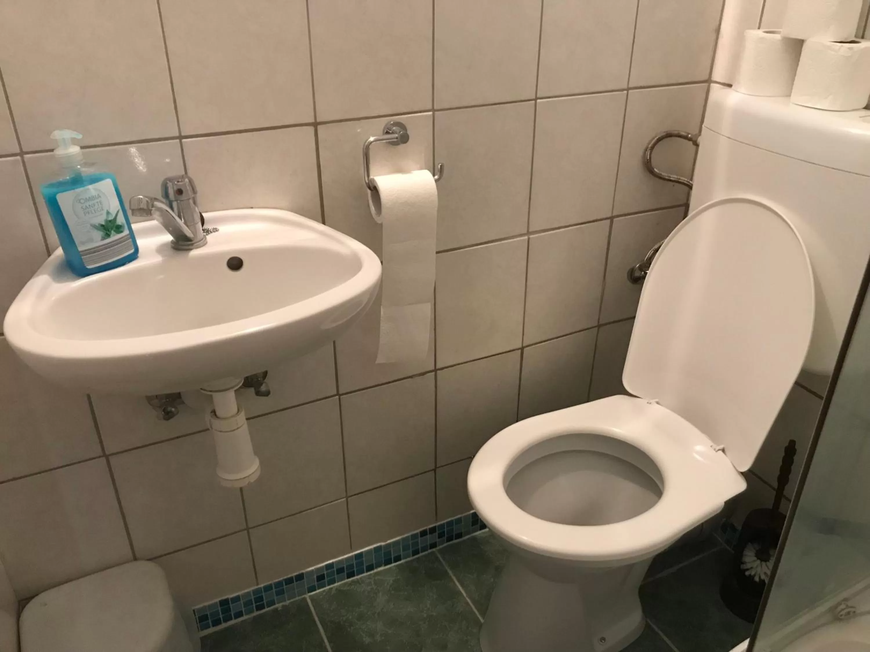 Bathroom in Hotel Chata