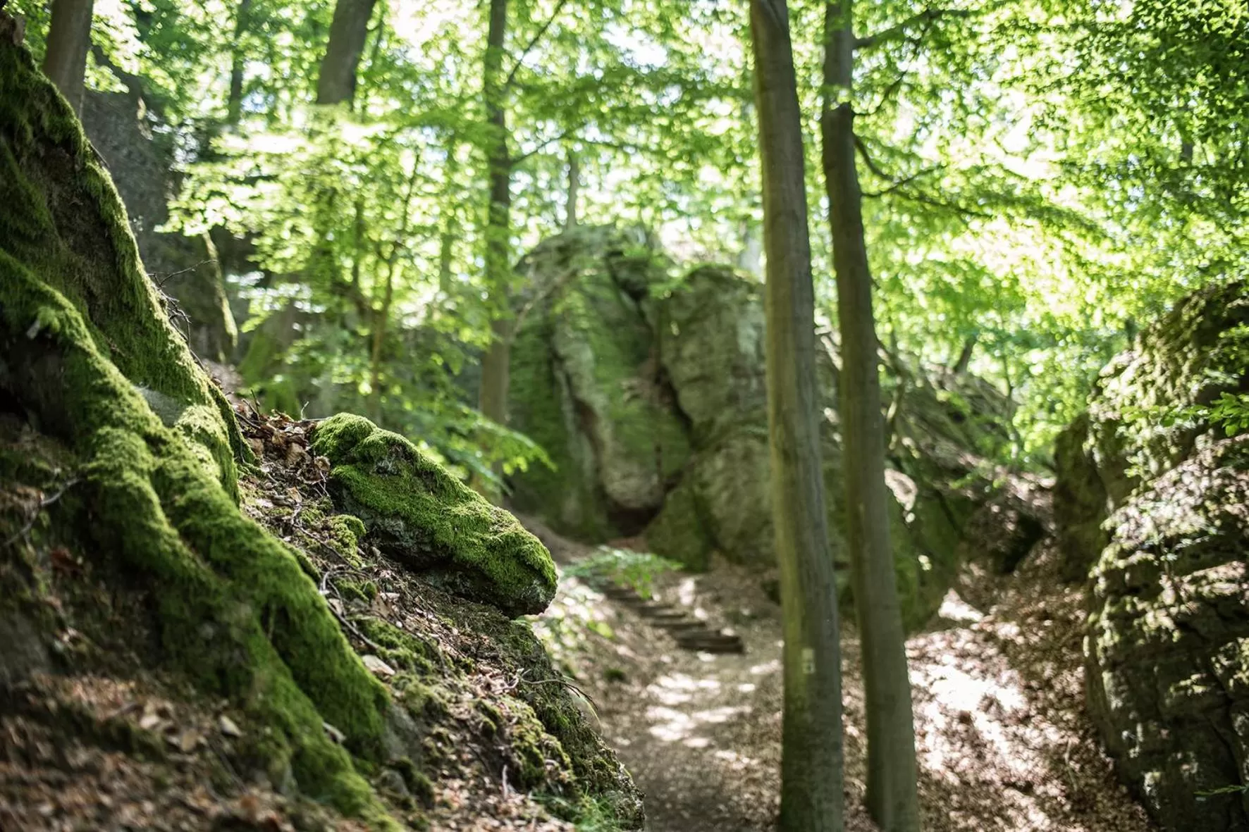 Spring in Suites MITTE - Aparthotel