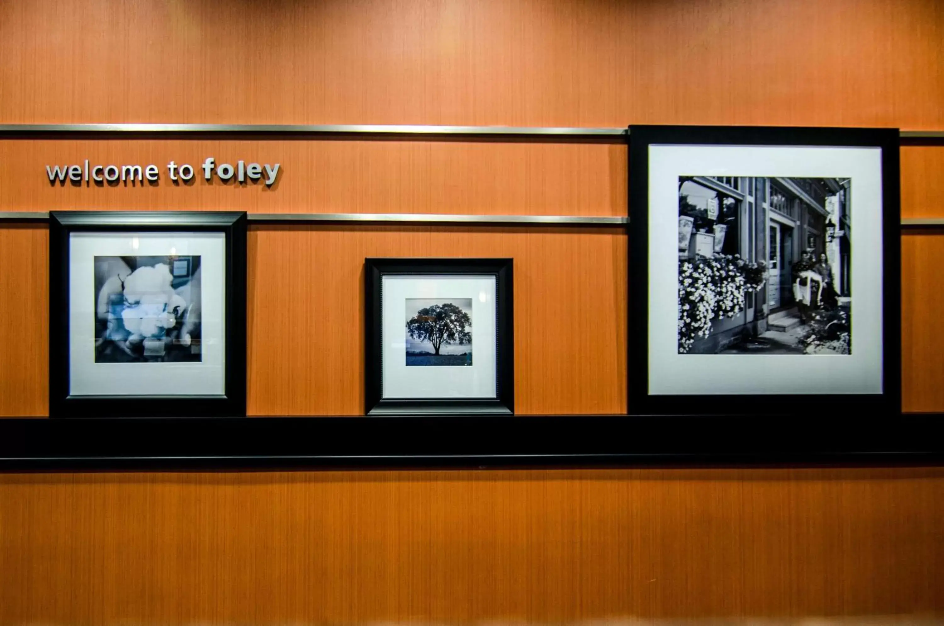 Lobby or reception in Hampton Inn Foley Lobby or reception in Hampton Inn Foley