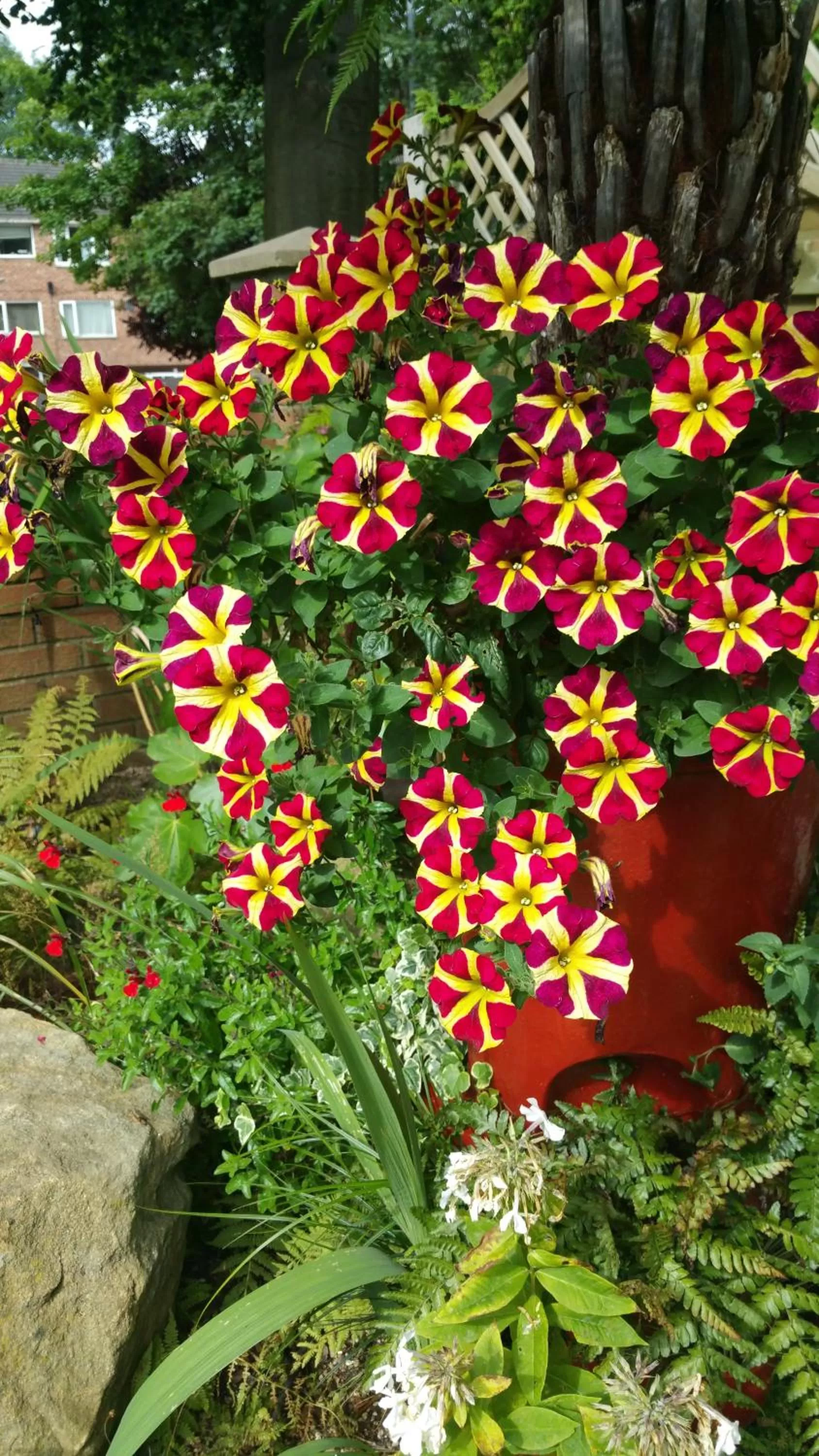 Garden in Best Area Close to Leeds Centre