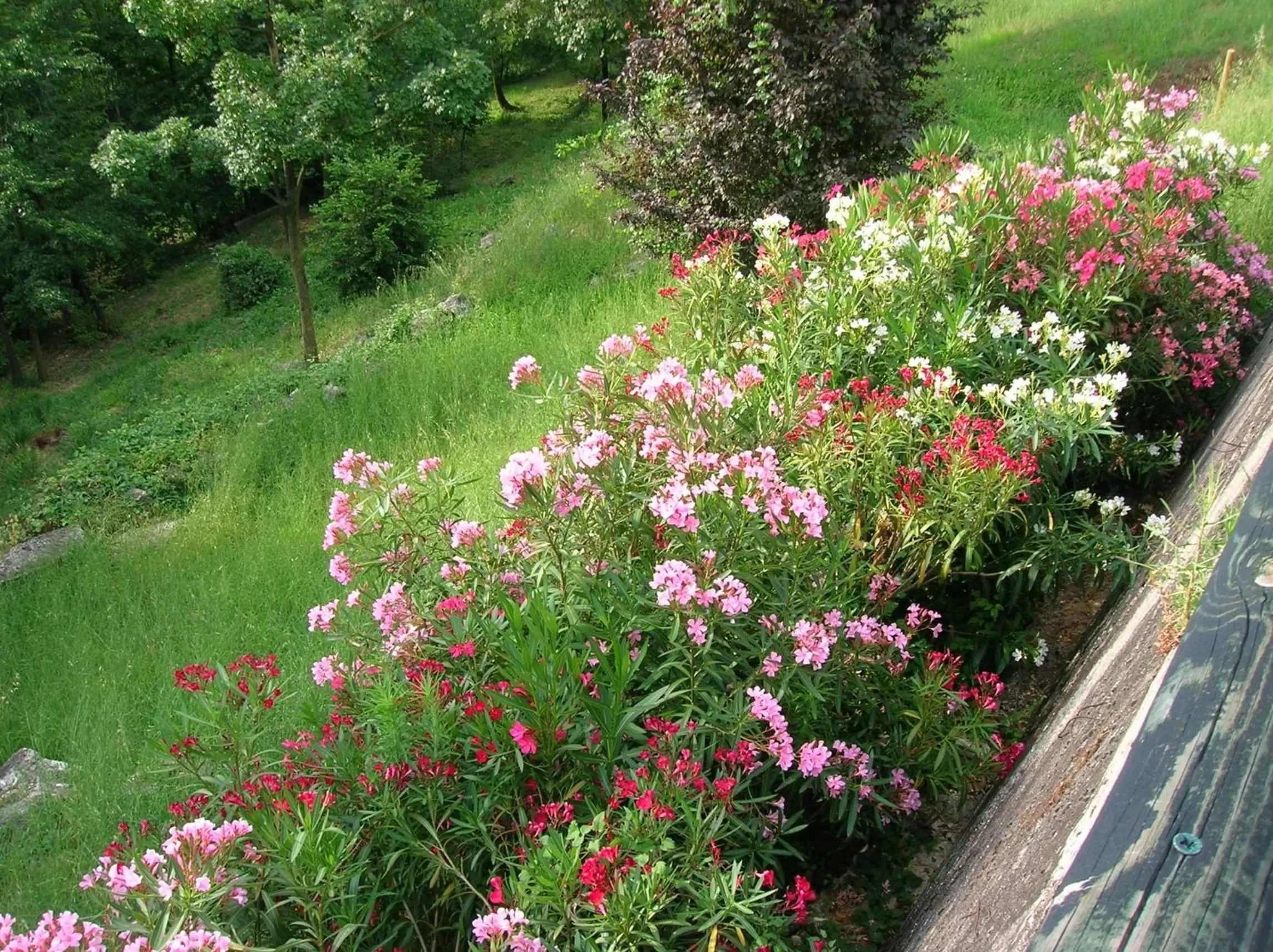 Garden view in B&B Il Suono del Bosco