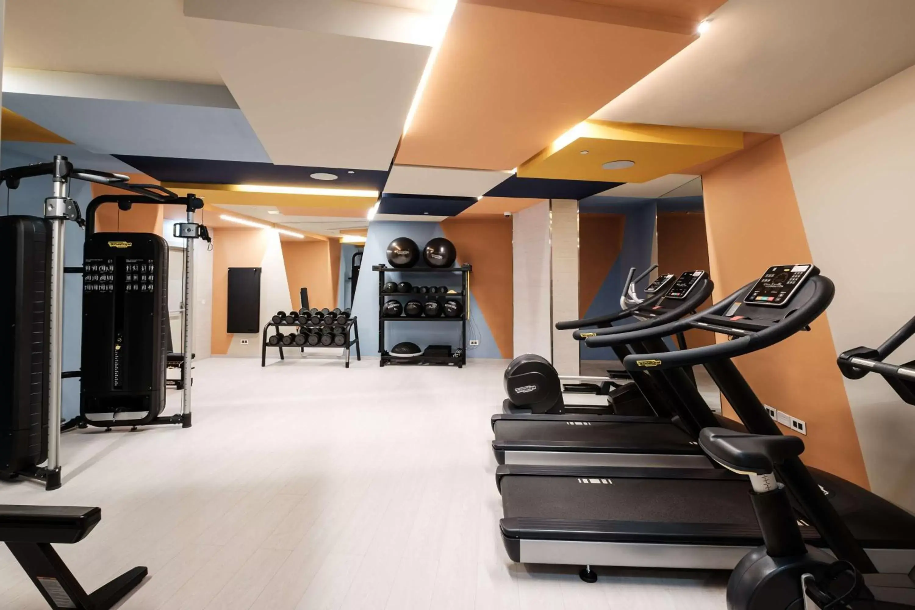 Activities, Fitness Center/Facilities in Hyatt Regency Malta