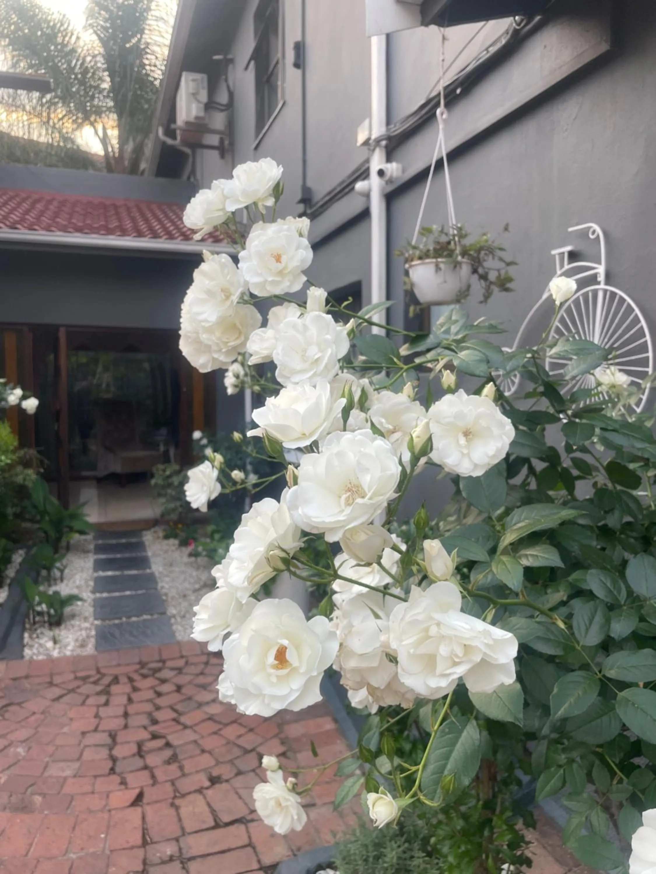 Spring in Marion Lodge