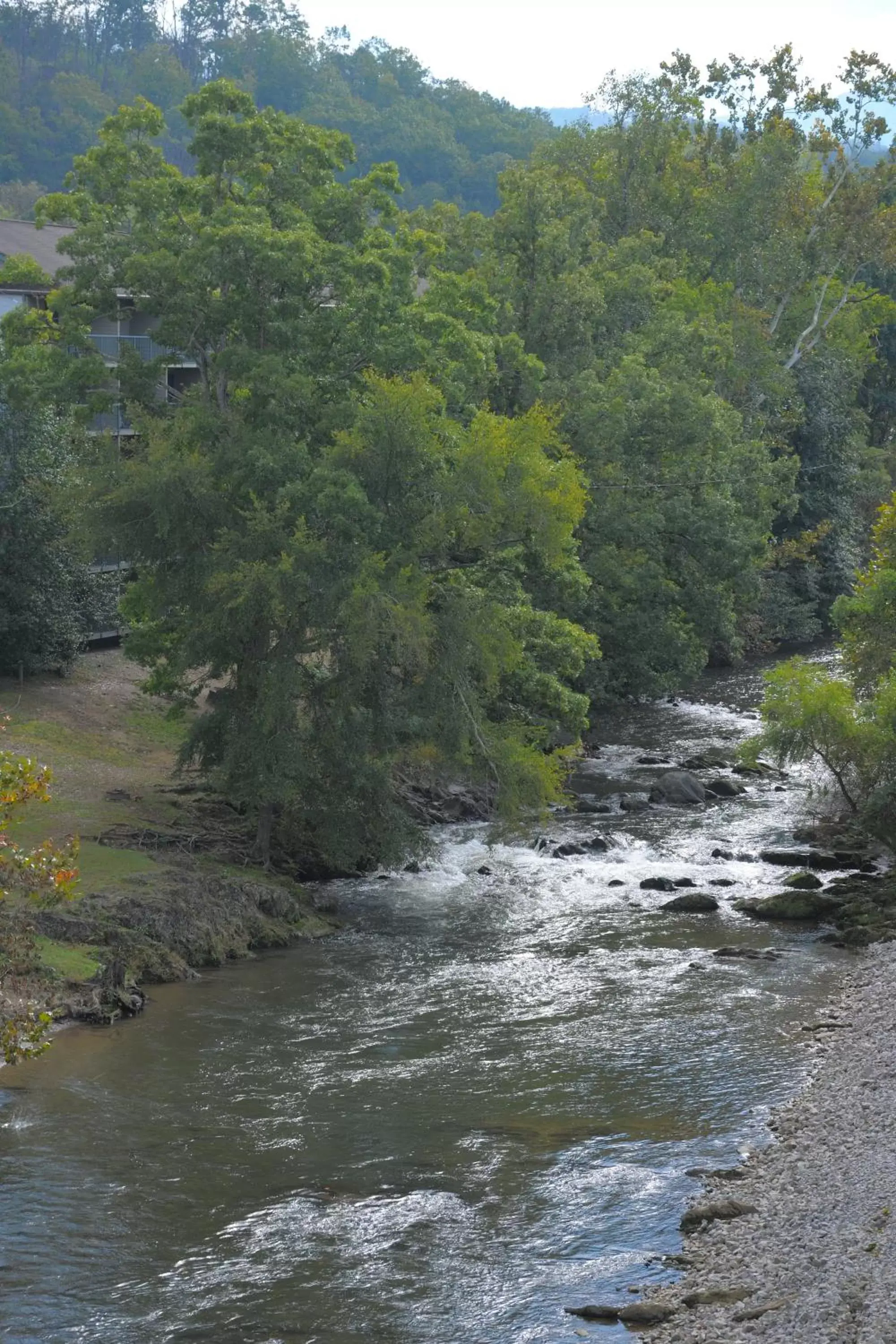River view in Creekstone Inn