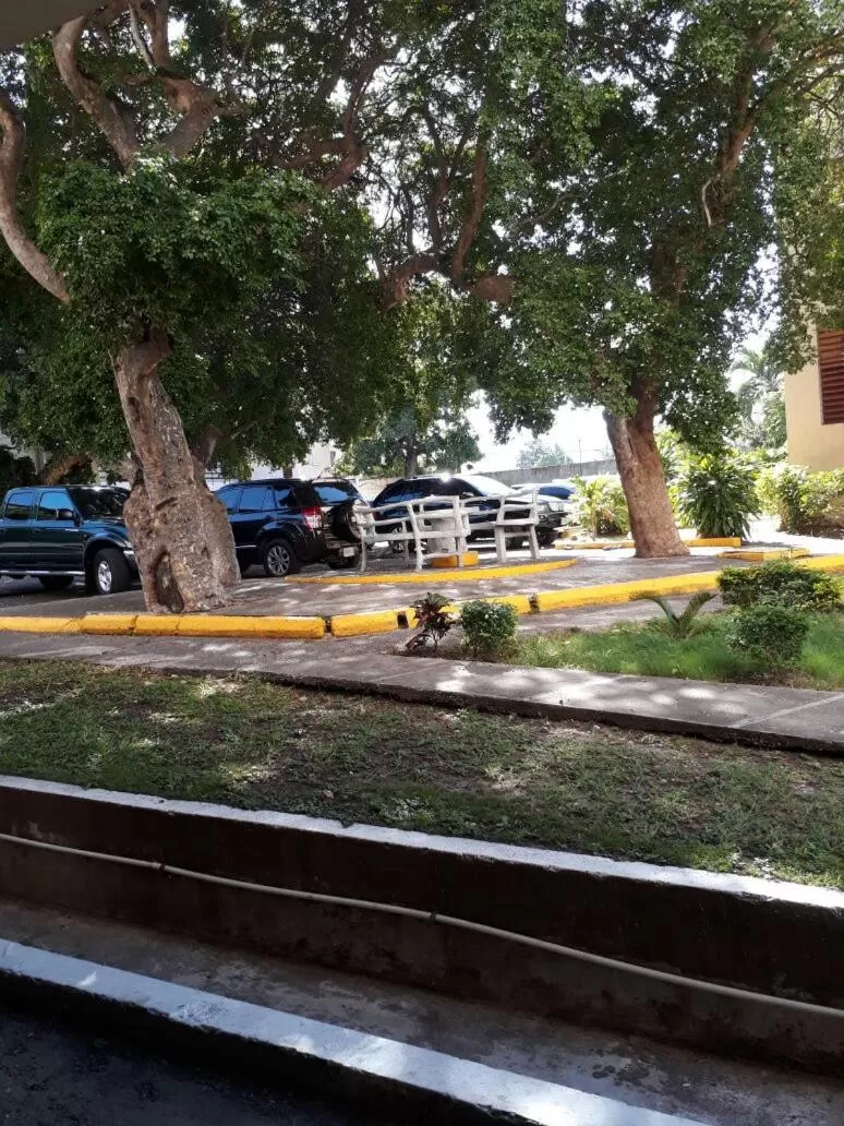 Garden in Malia's New Kgn Apartment