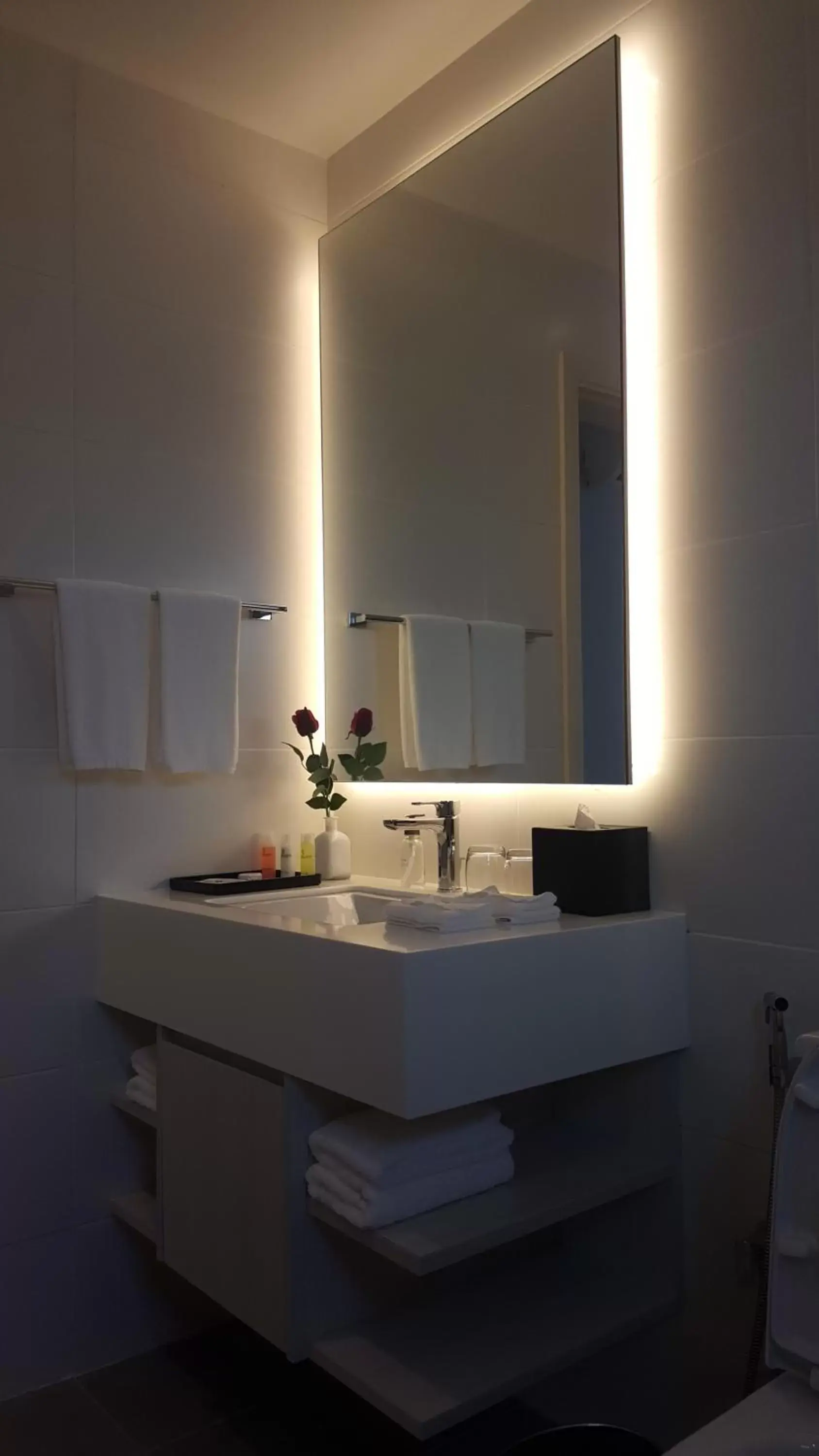 Bathroom in Suasana Suites Hotel Johor Bahru