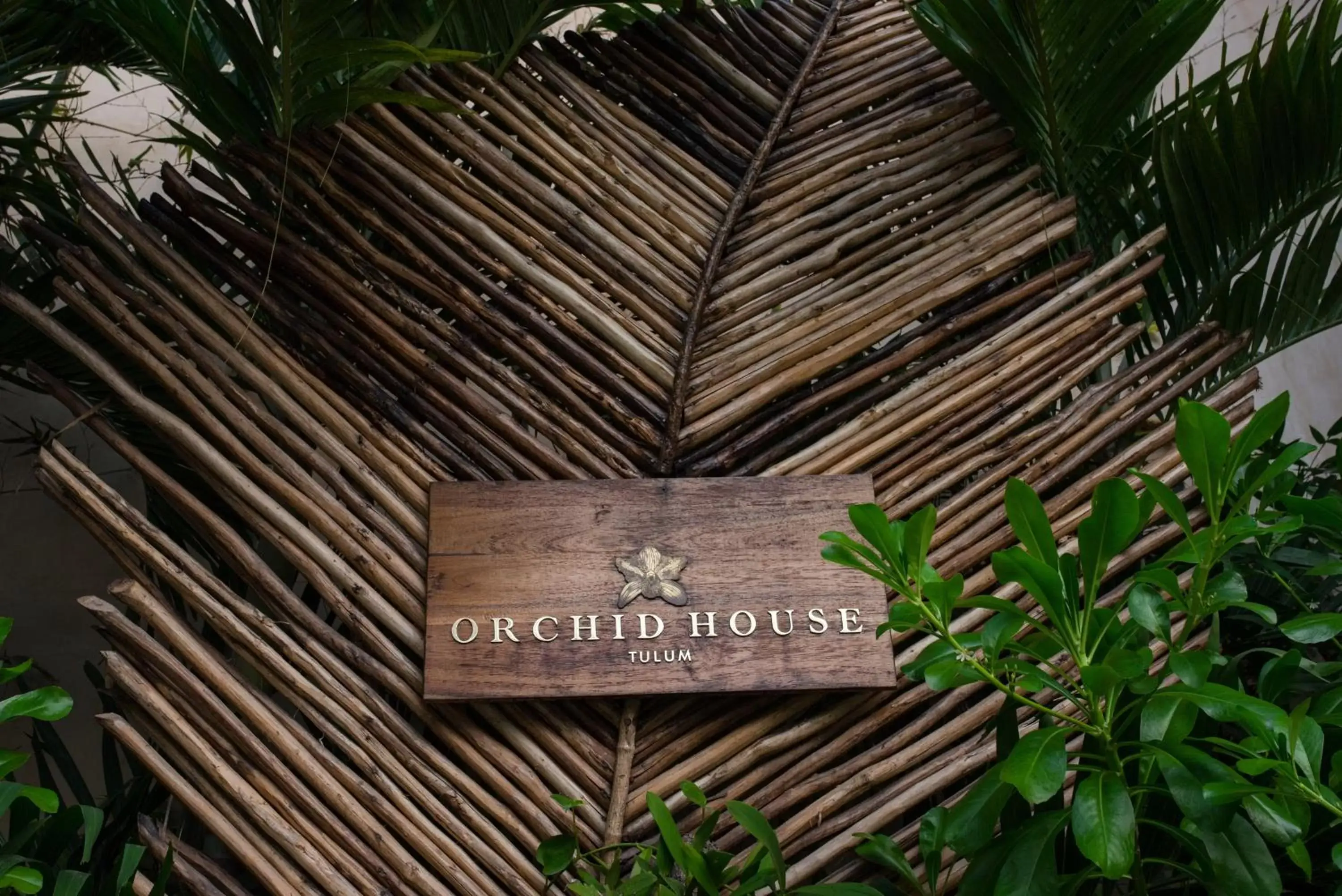 Orchid House Tulum