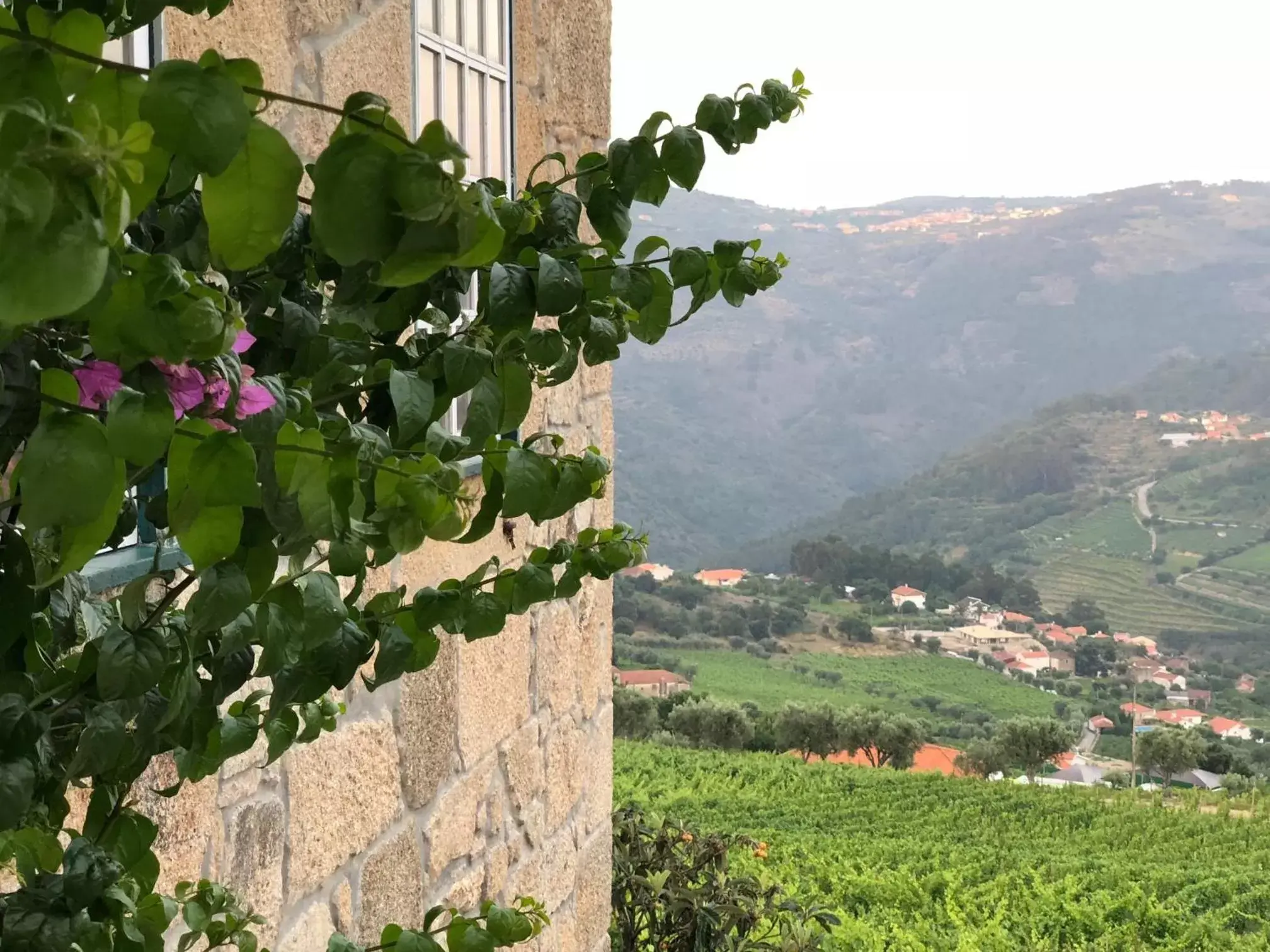 Quinta da Portela - Casa Visconde Arneiros