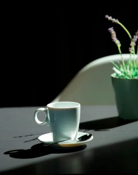 Decorative detail in Hotel El Raset