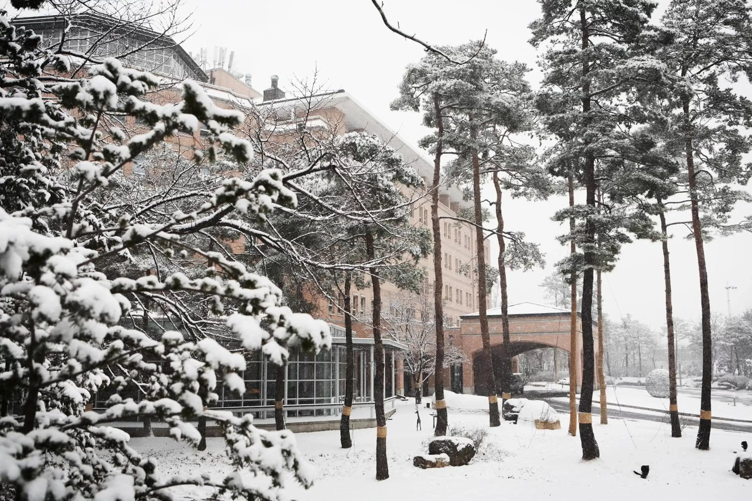 Property building, Winter in Mayfield Hotel Seoul