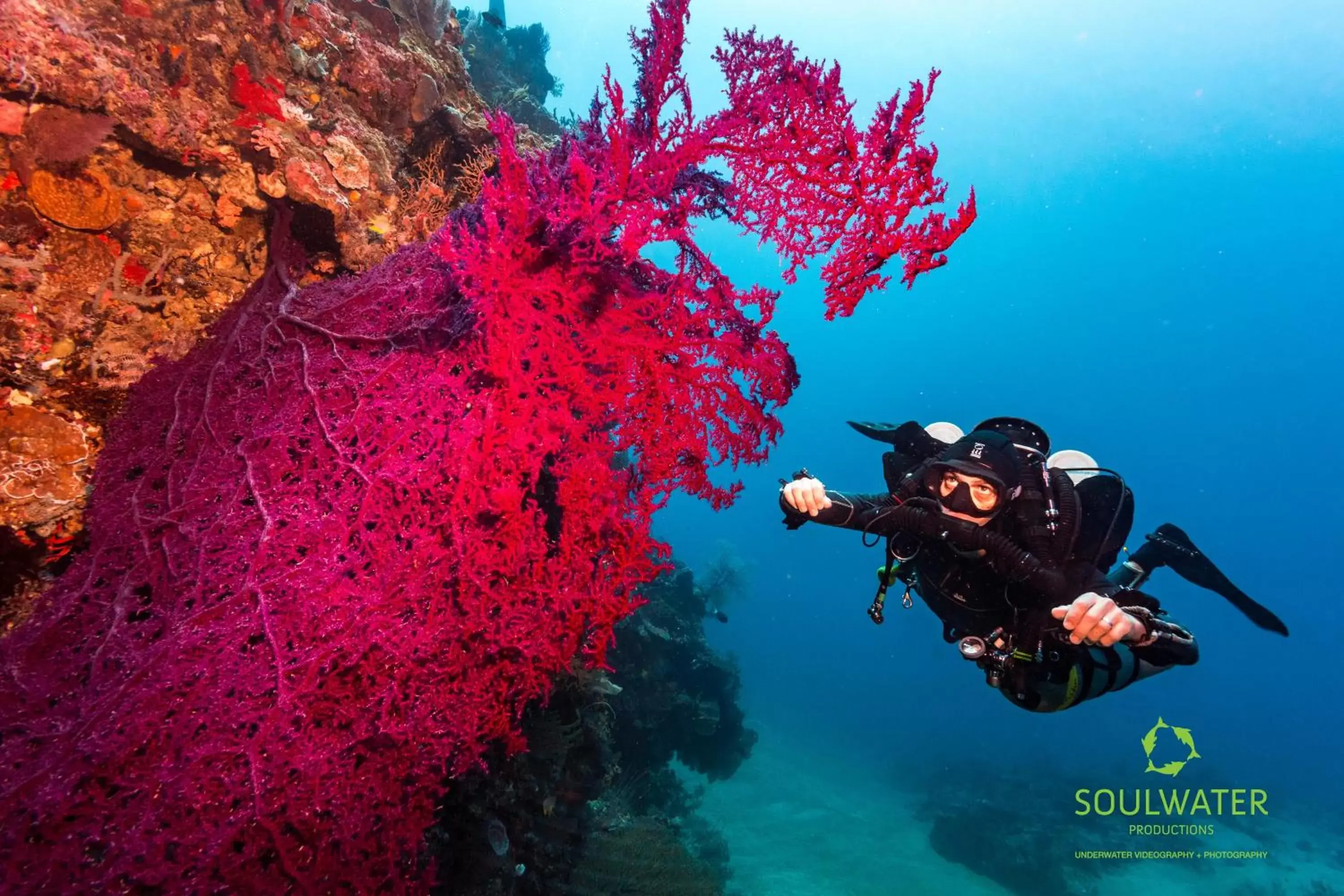 Snorkeling in Trawangan Dive Resort