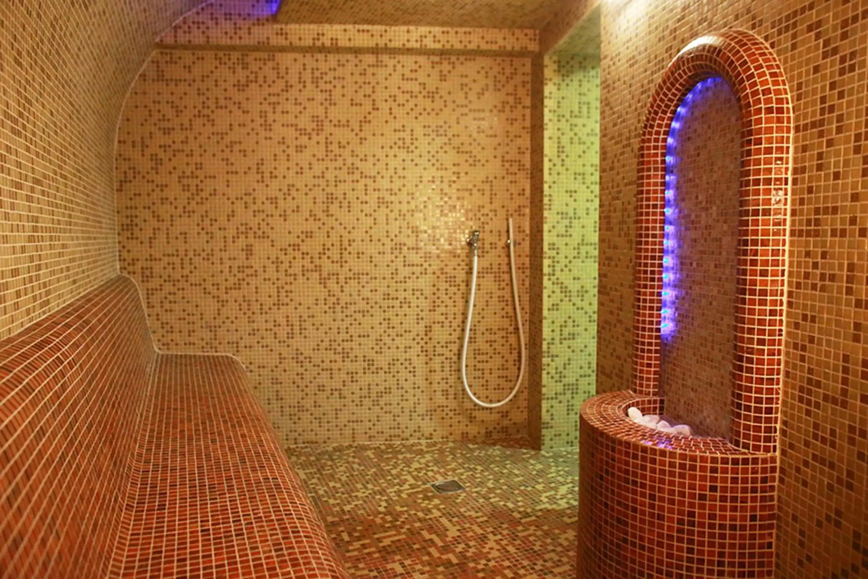 Sauna, Bathroom in Hotel Golden Tulip Ana Tower Sibiu