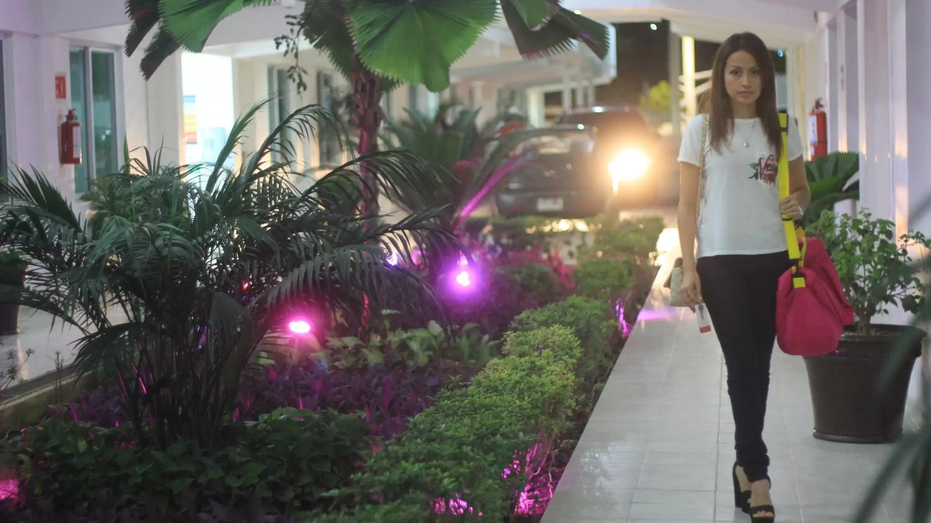 Garden in Hotel Casa Blanca