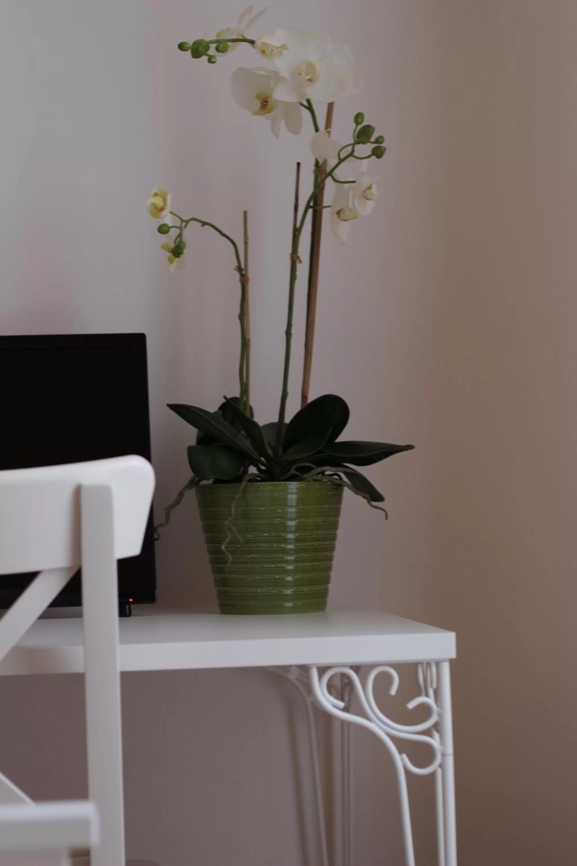 Decorative detail in B&B Gallidoro