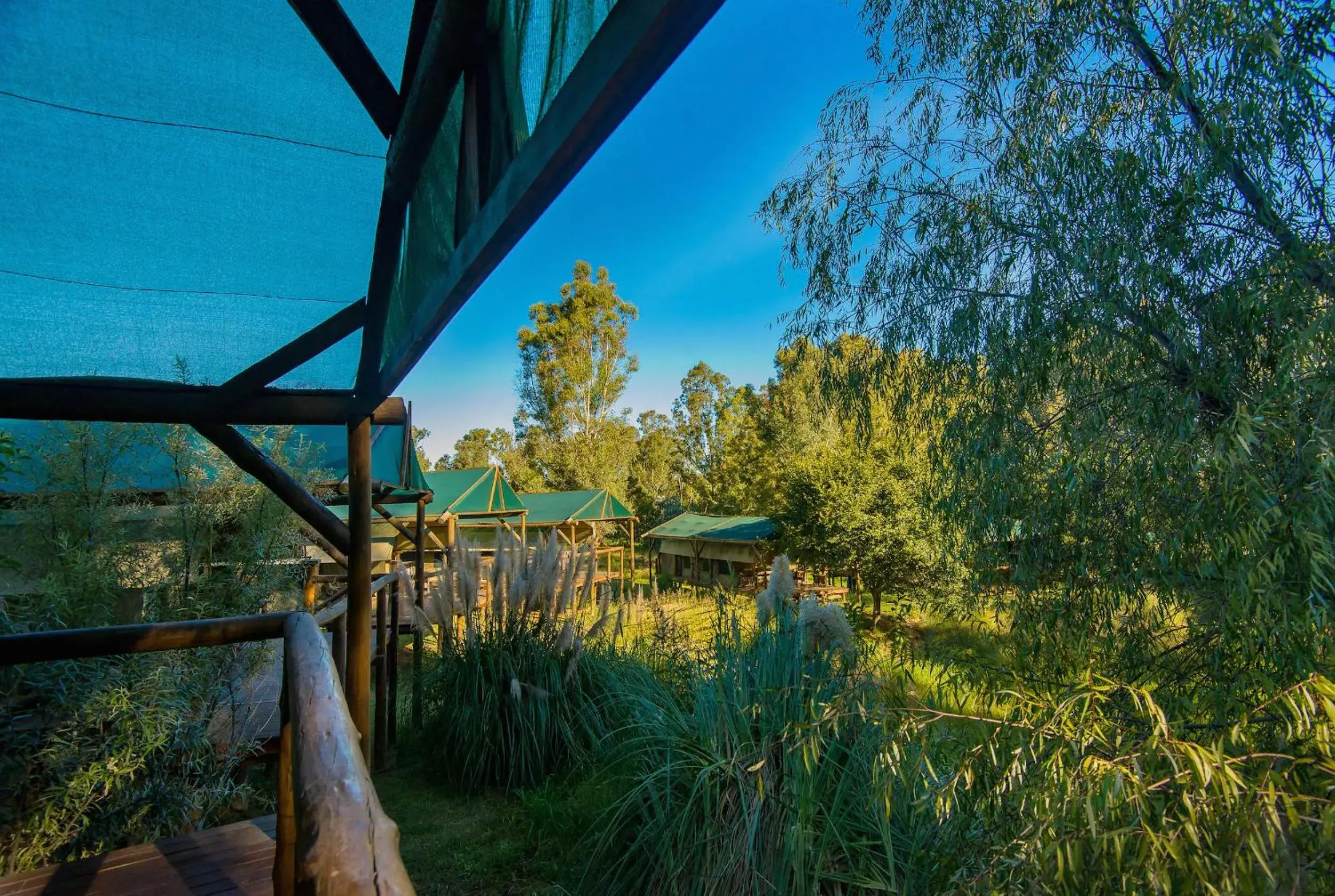 Garden in Amadwala Lodge