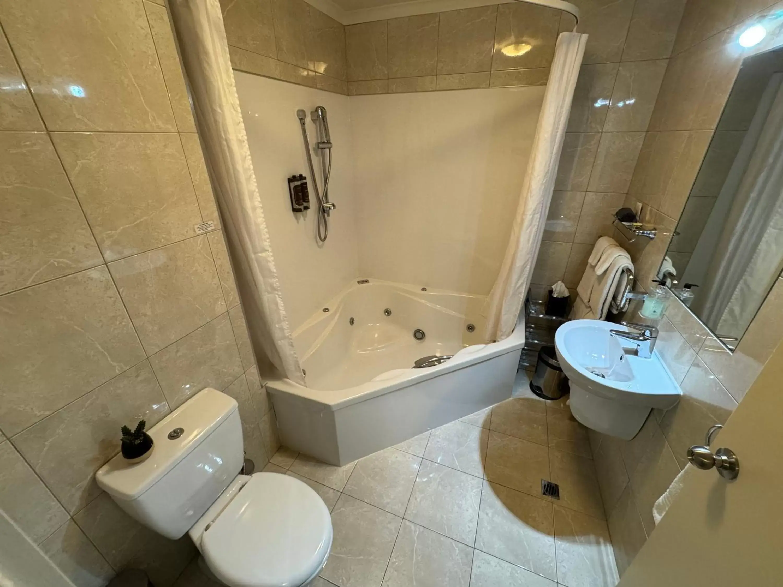 Shower, Bathroom in B-Ks Premier Motel Palmerston North