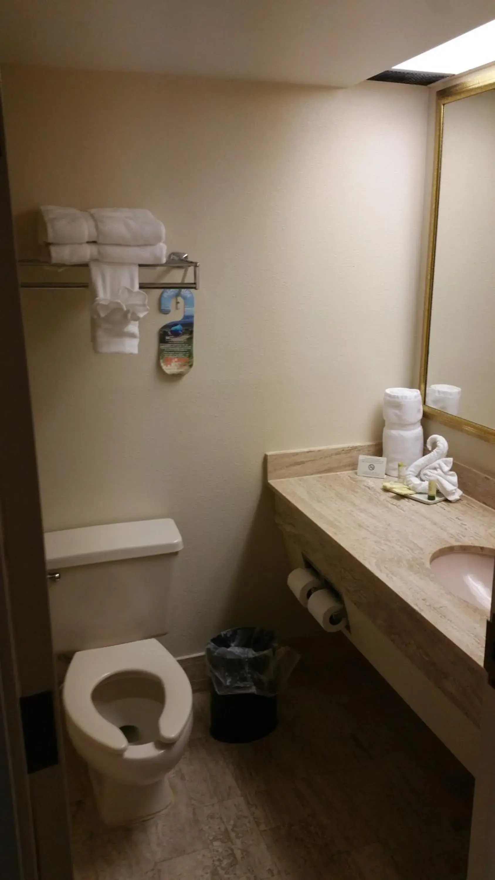 Bathroom, Coffee/Tea Facilities in Imperial Swan Hotel and Suites Lakeland