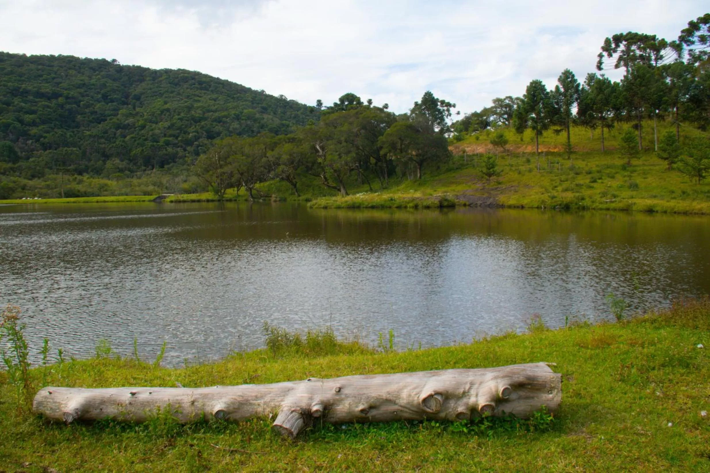Natural landscape in Estalagem Tronador