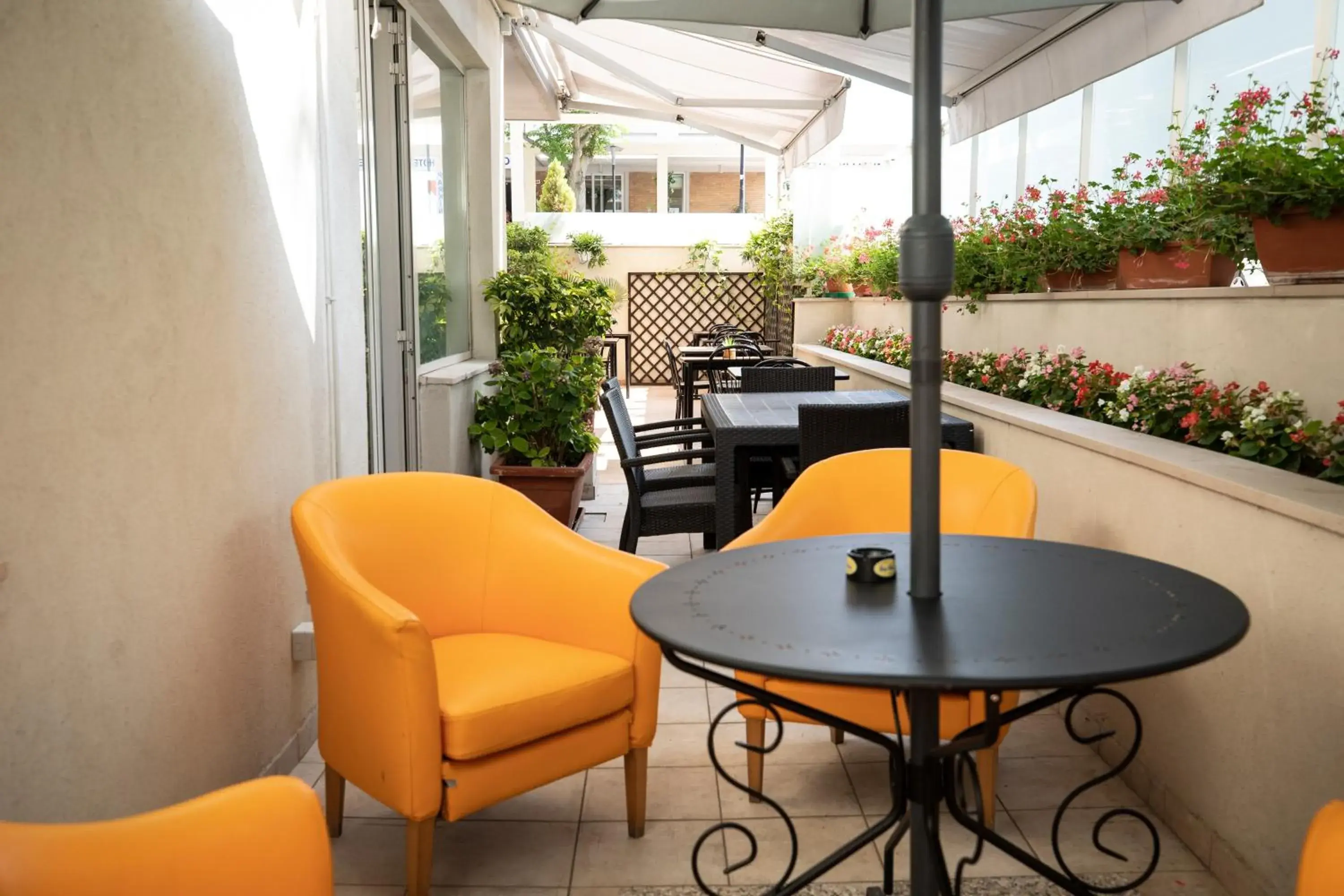 Patio in Hotel Figaro & Apartments