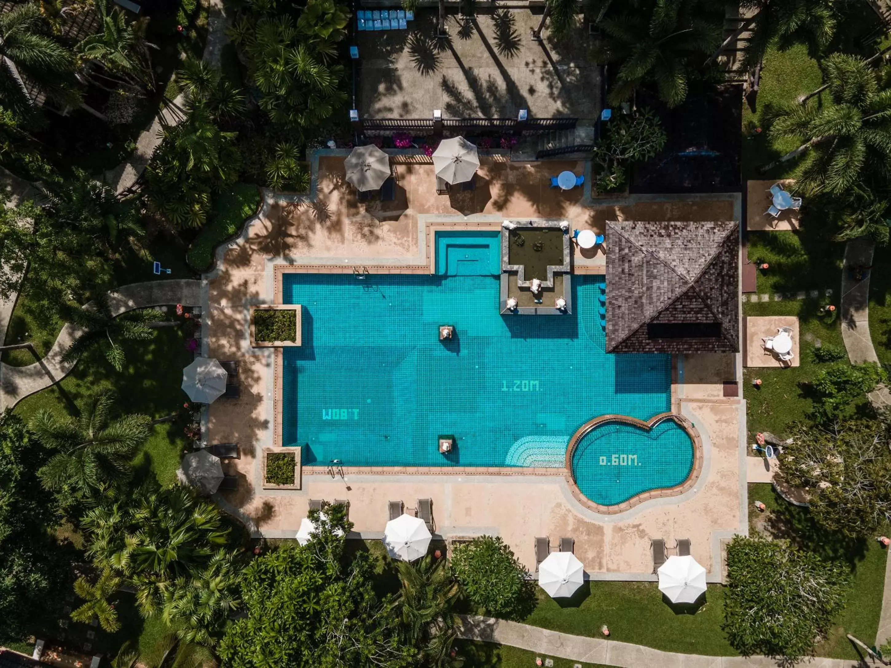 Swimming pool, Bird's-eye View in The Leaf on The Sands by Katathani - SHA Extra Plus