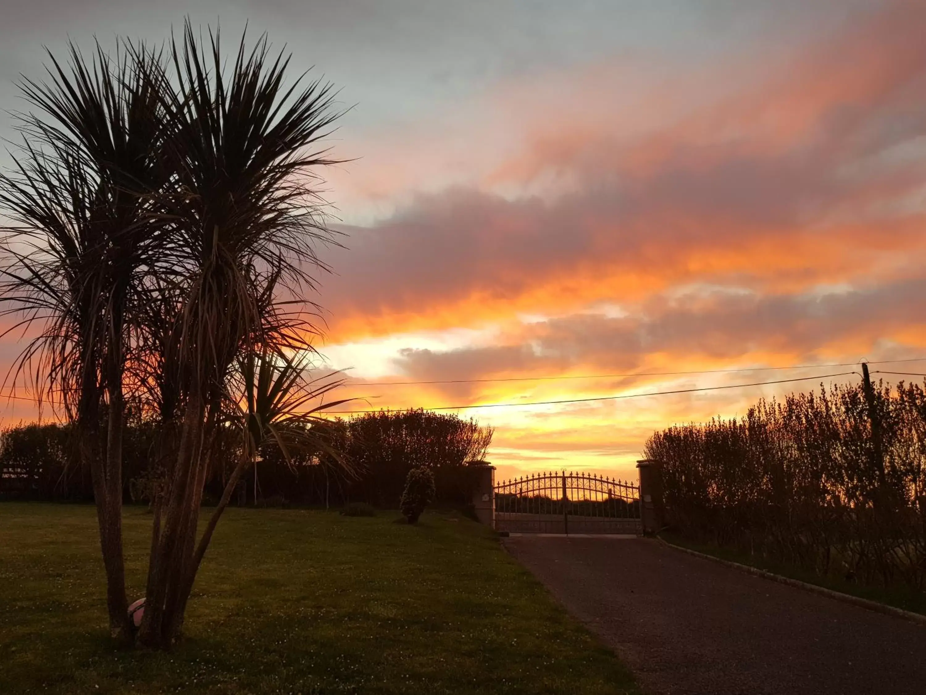 Garden view, Sunrise/Sunset in Sunrise view