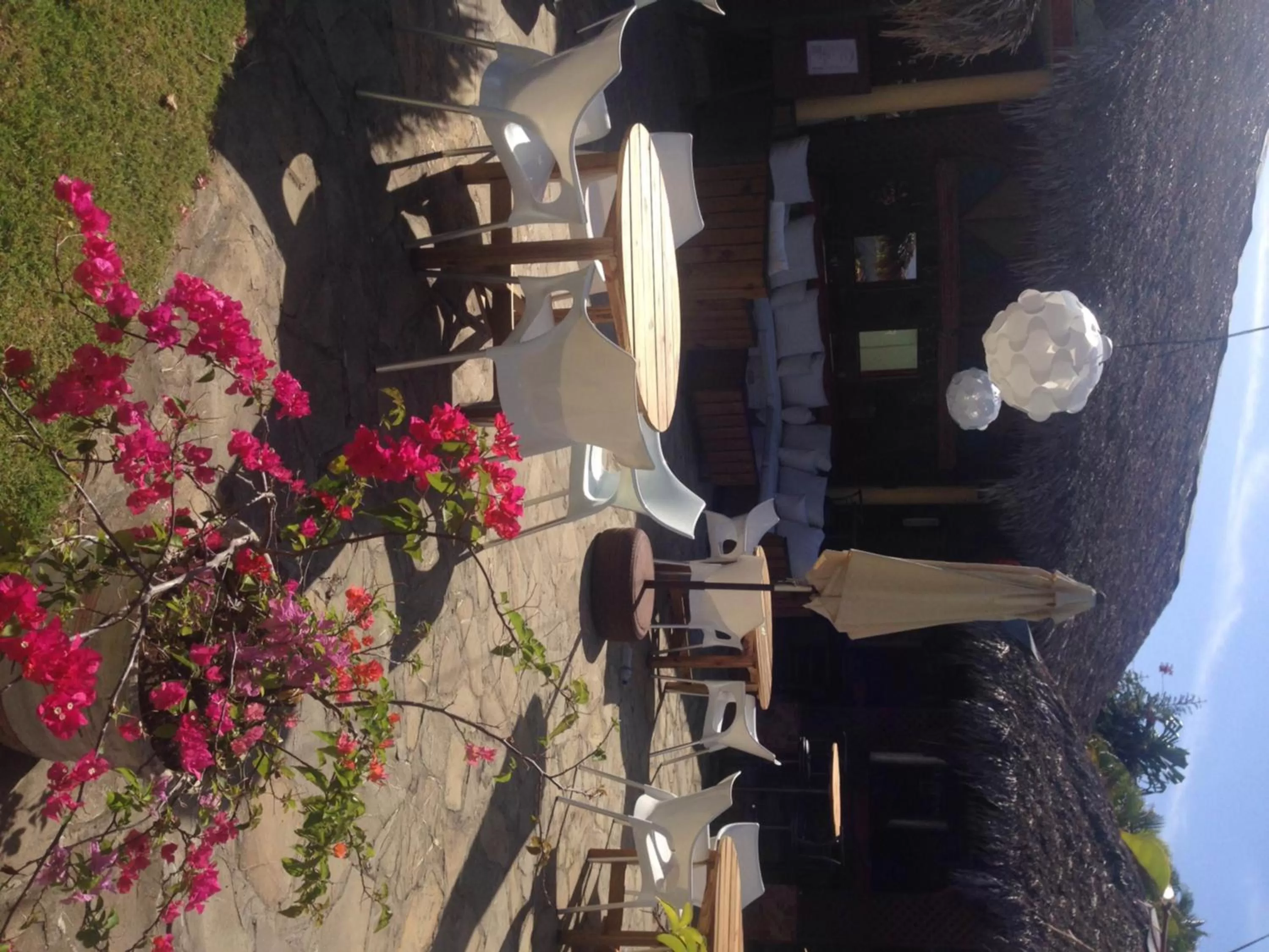 Garden in Hotel Voramar