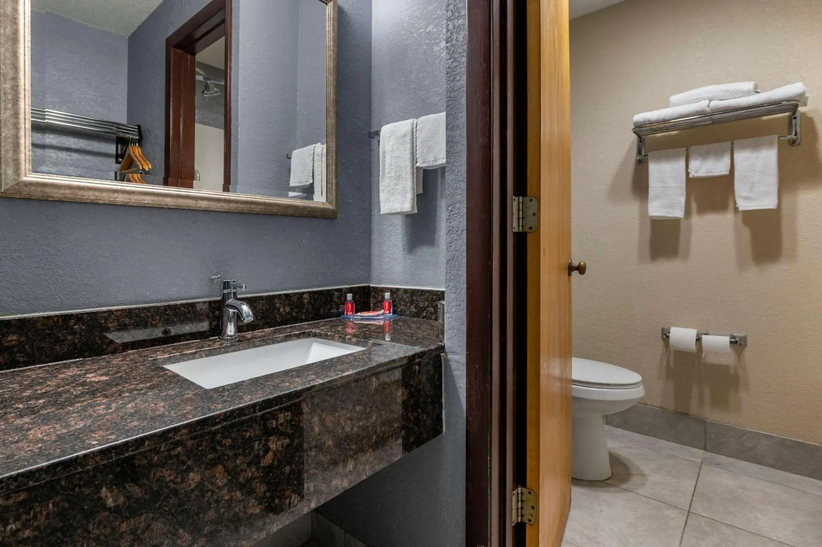 Bathroom in Econo Lodge Inn & Suites